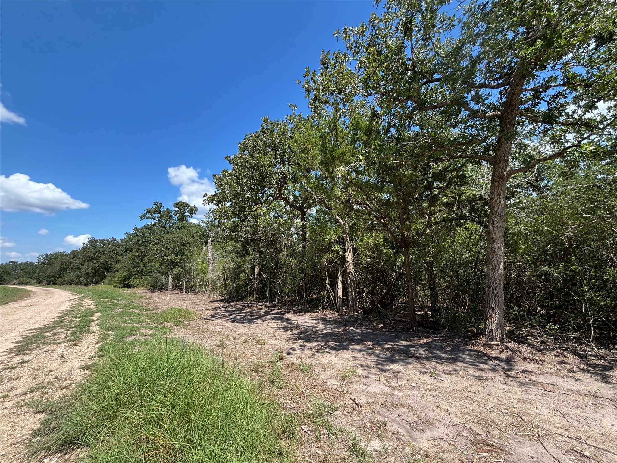 Lot 188 & 189 Burr Oak Ln Property Photo 3