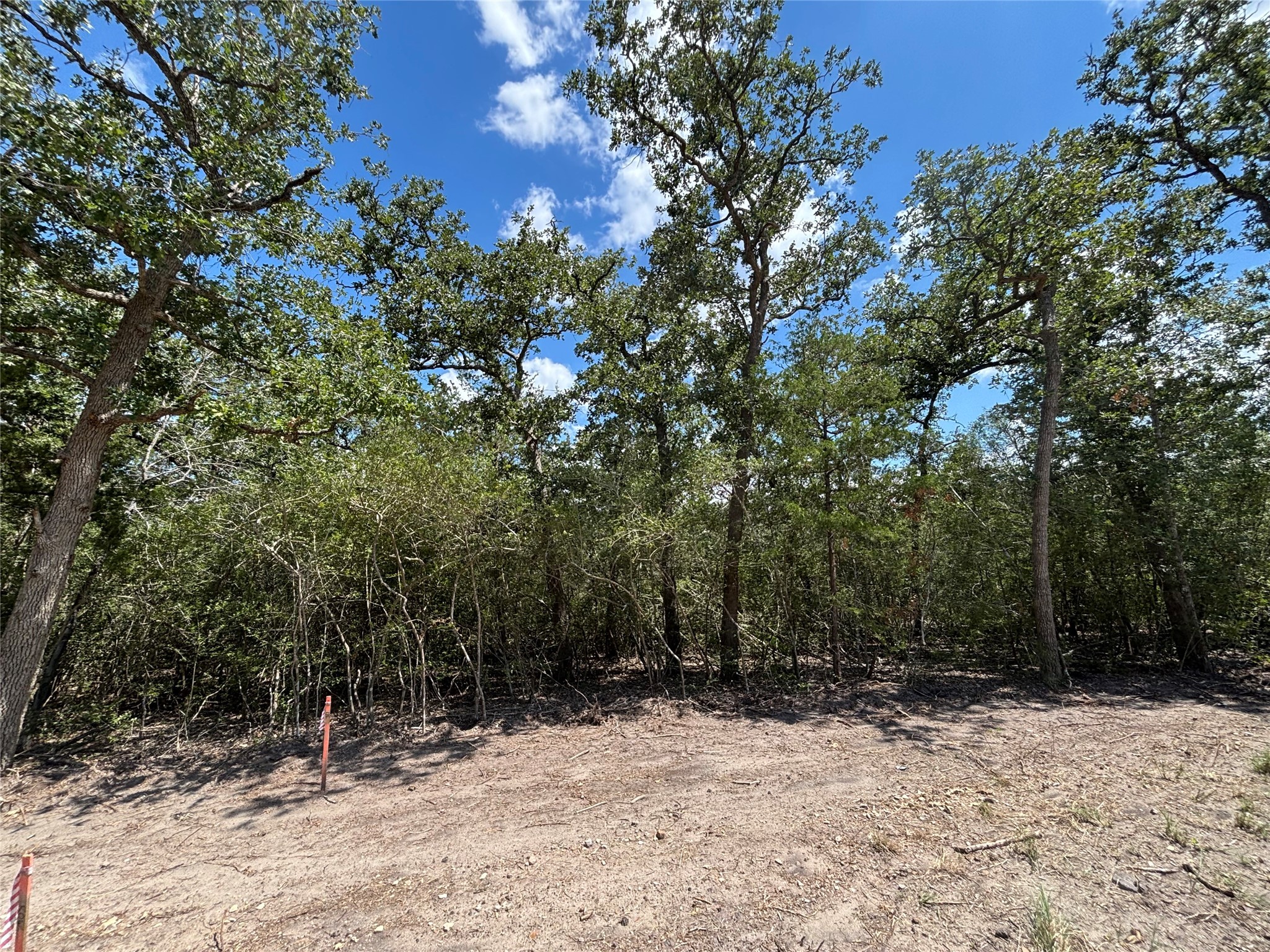 Lot 188 & 189 Burr Oak Ln Property Photo 8