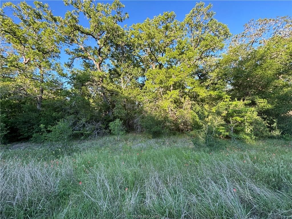 Lot 188 & 189 Burr Oak Ln Property Photo 9