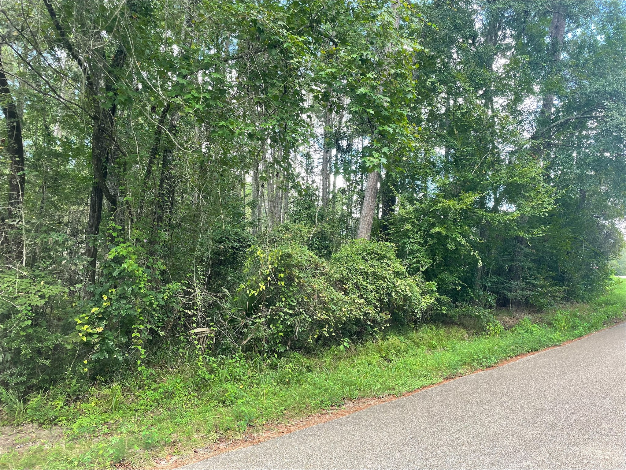 Tbd0.57ac Magnolia Bend Dr Property Photo 1