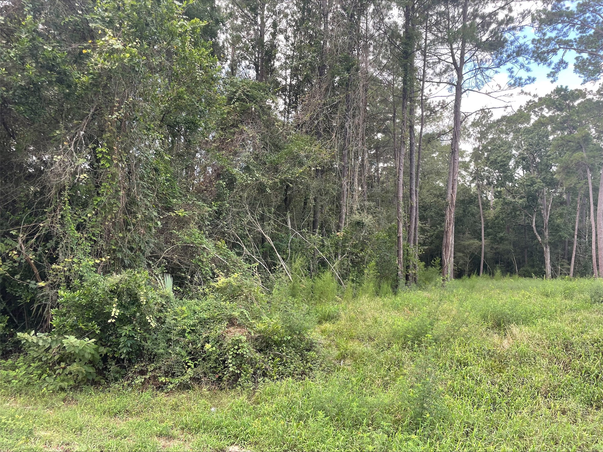Tbd0.57ac Magnolia Bend Dr Property Photo 2