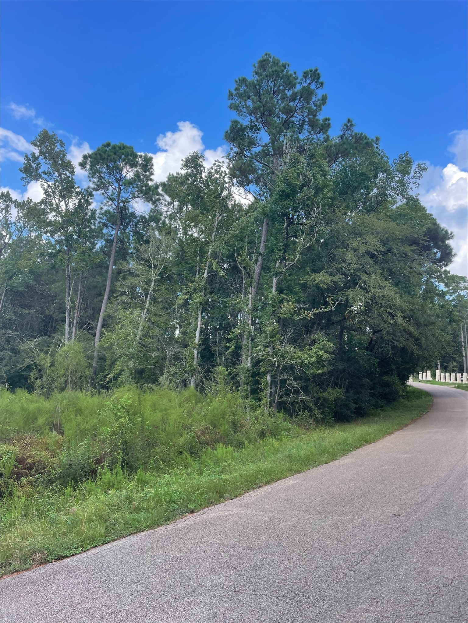 Tbd0.57ac Magnolia Bend Dr Property Photo 3