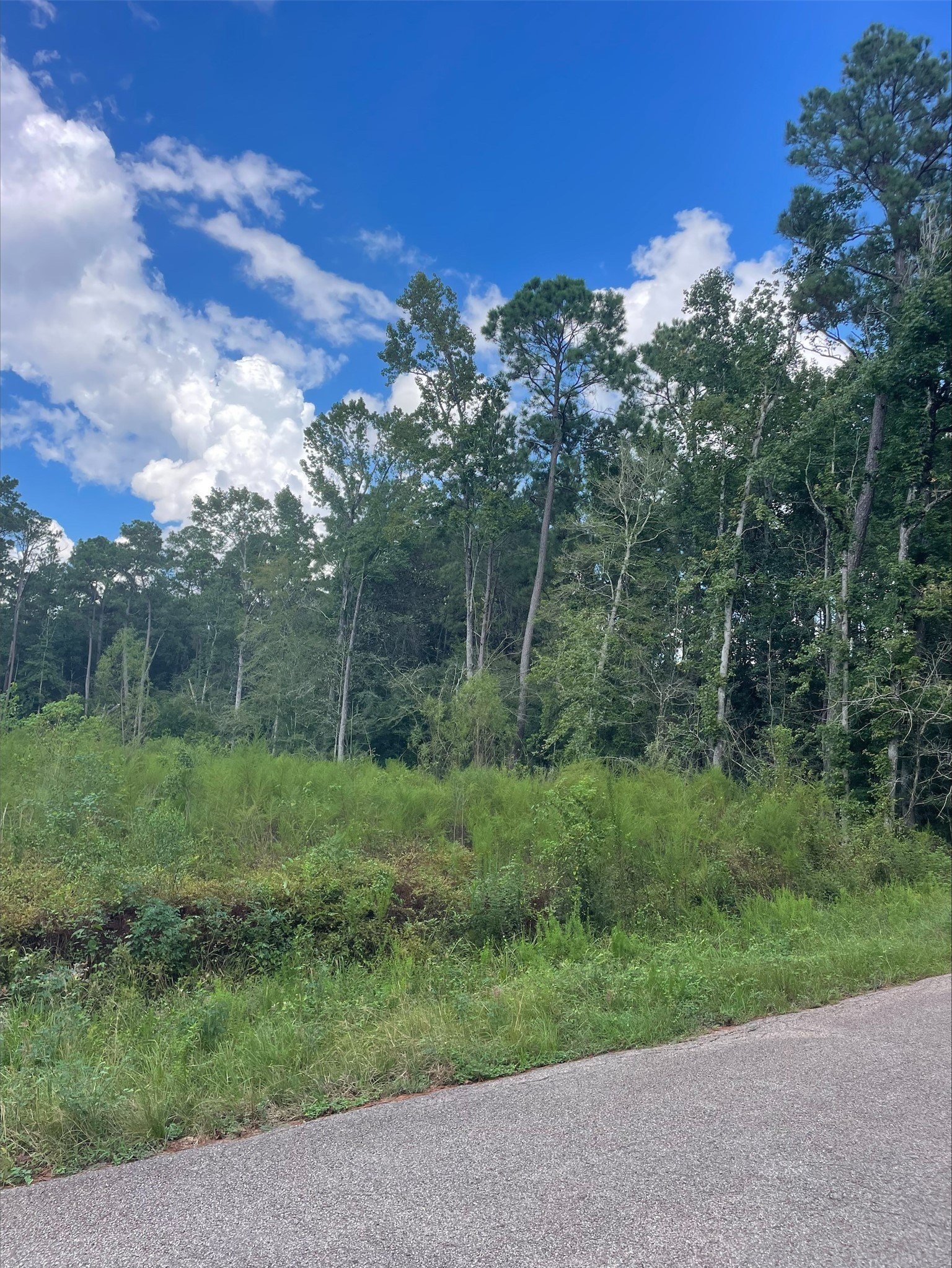 Tbd0.57ac Magnolia Bend Dr Property Photo 5