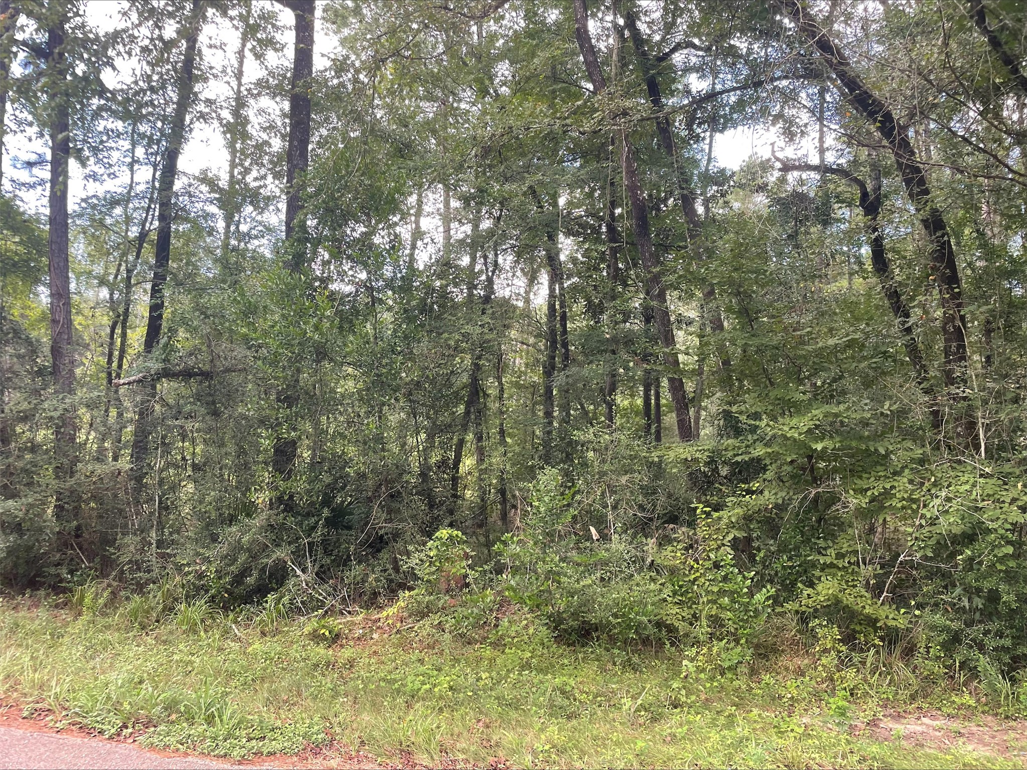 Tbd0.57ac Magnolia Bend Dr Property Photo 6