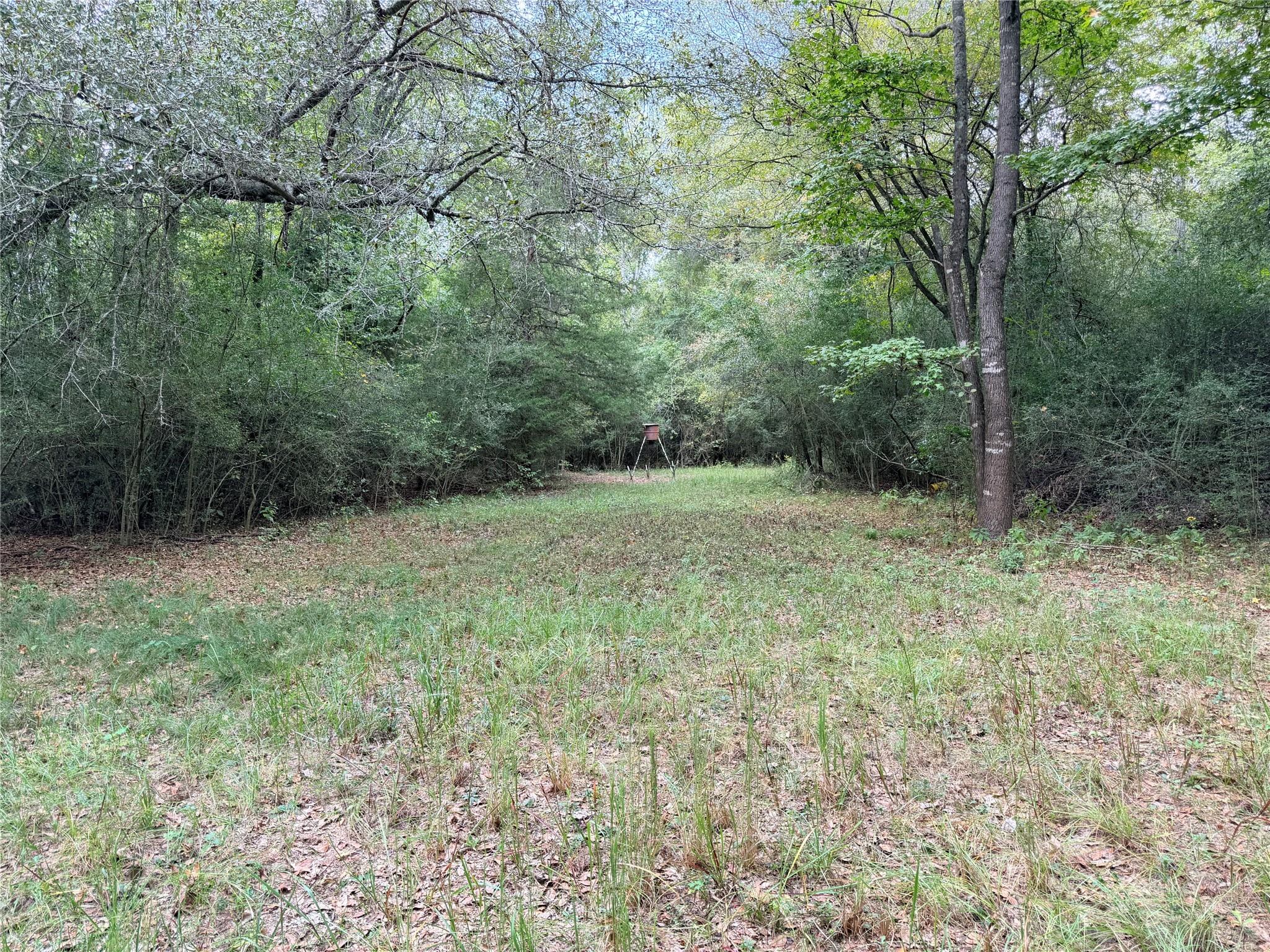 5604 County Road 364 Property Photo 3