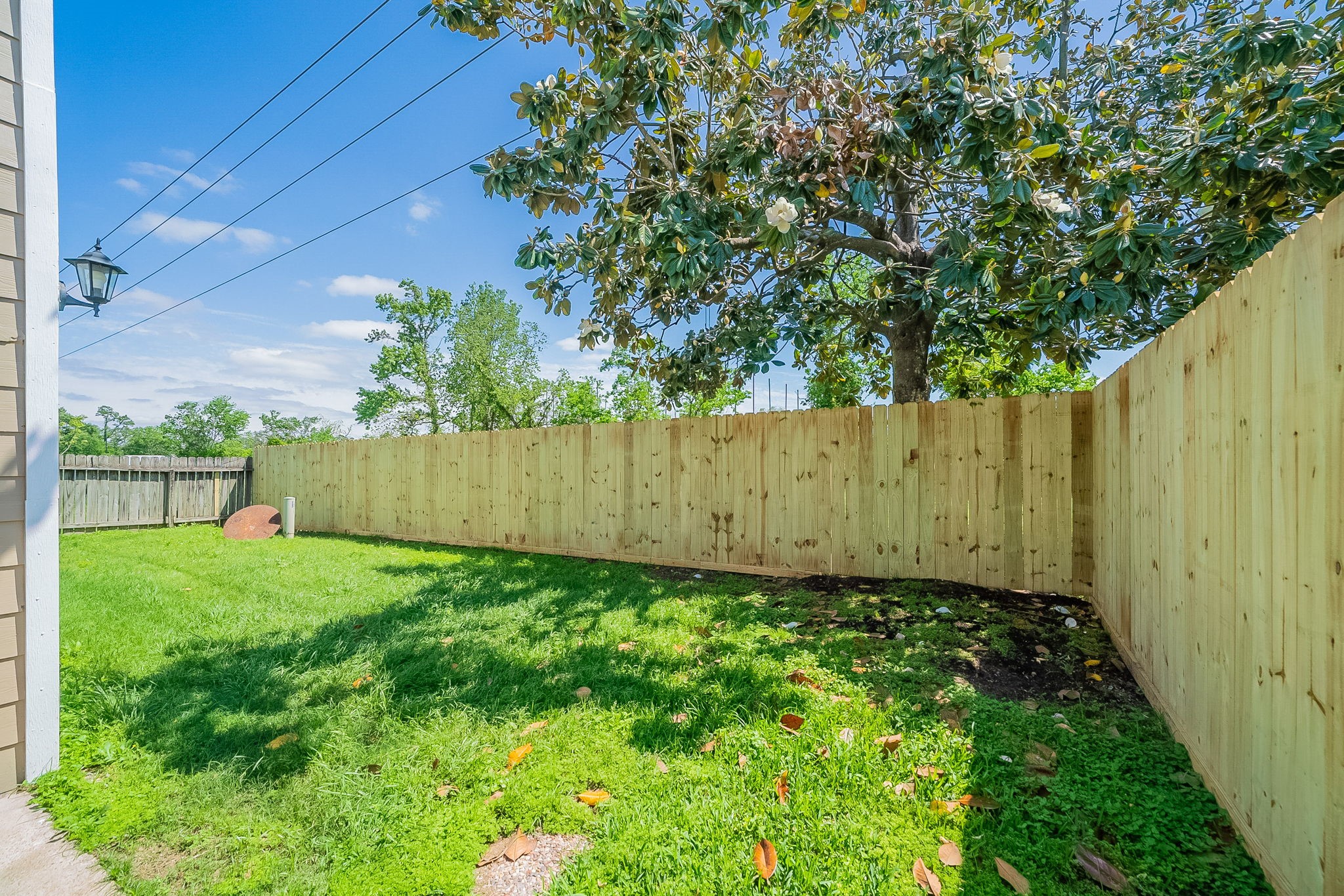 707 Terryhollow Street Property Photo 23