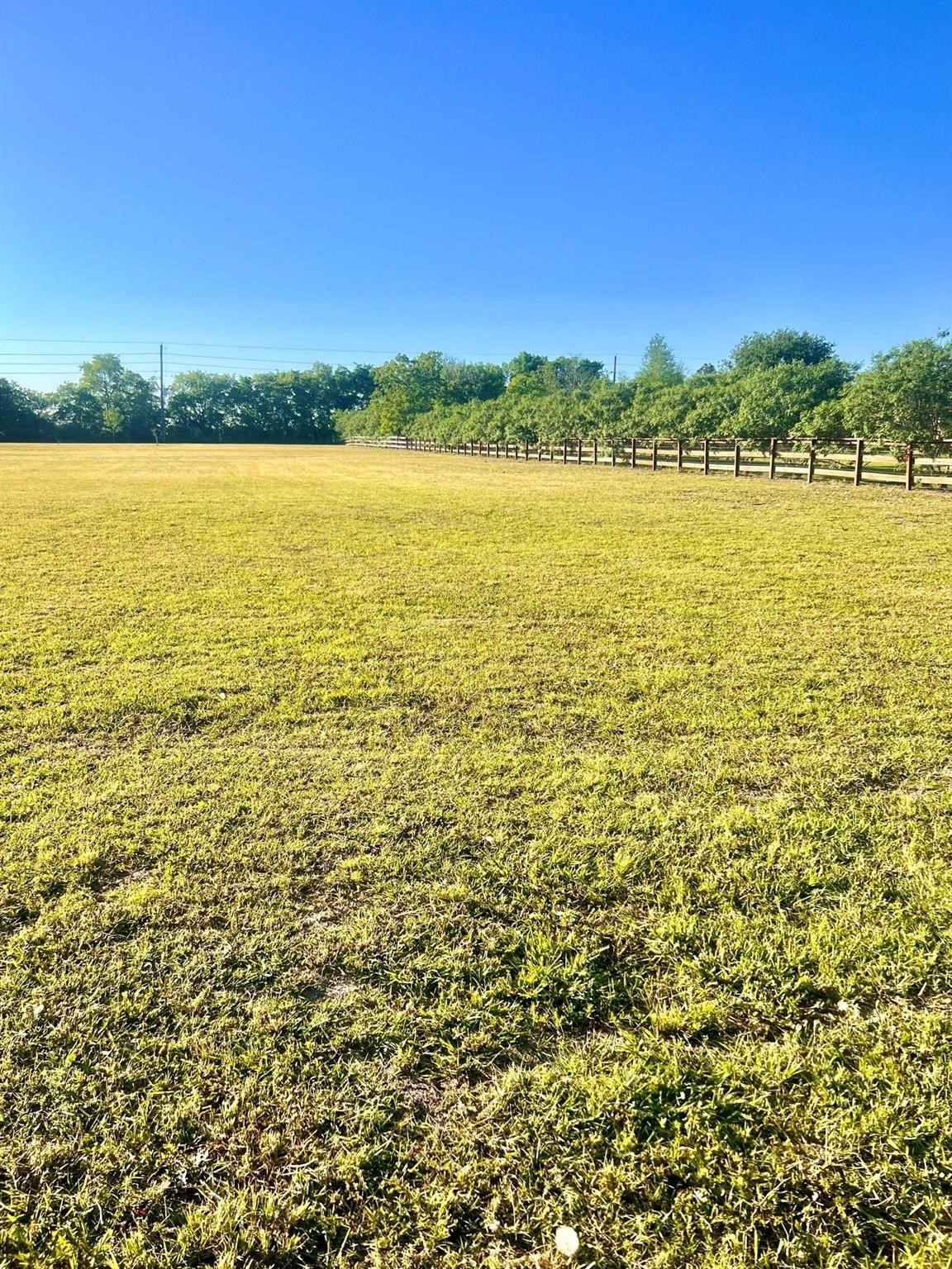 13702 Lakeview Meadow Drive Property Photo 1