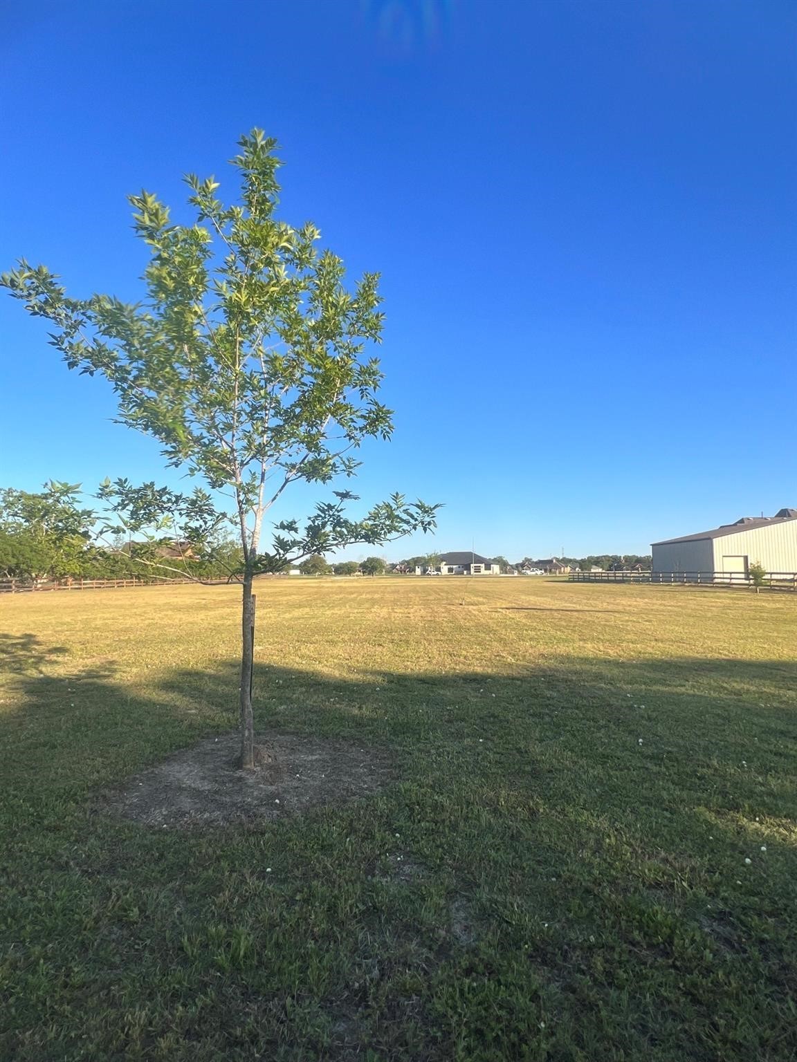 13702 Lakeview Meadow Drive Property Photo 3