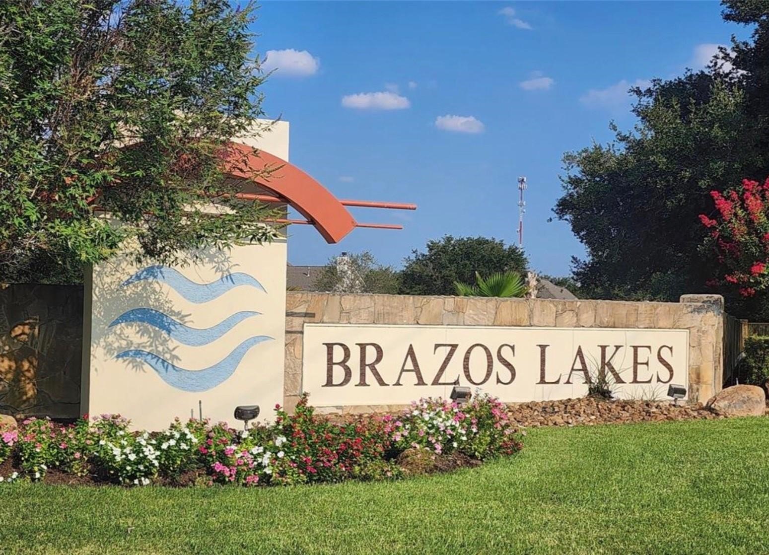 13702 Lakeview Meadow Drive Property Photo 4
