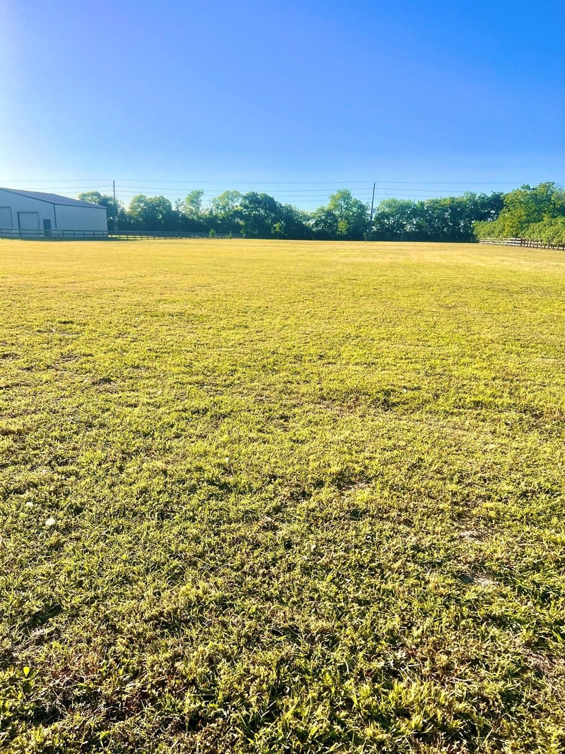 13702 Lakeview Meadow Drive Property Photo 8
