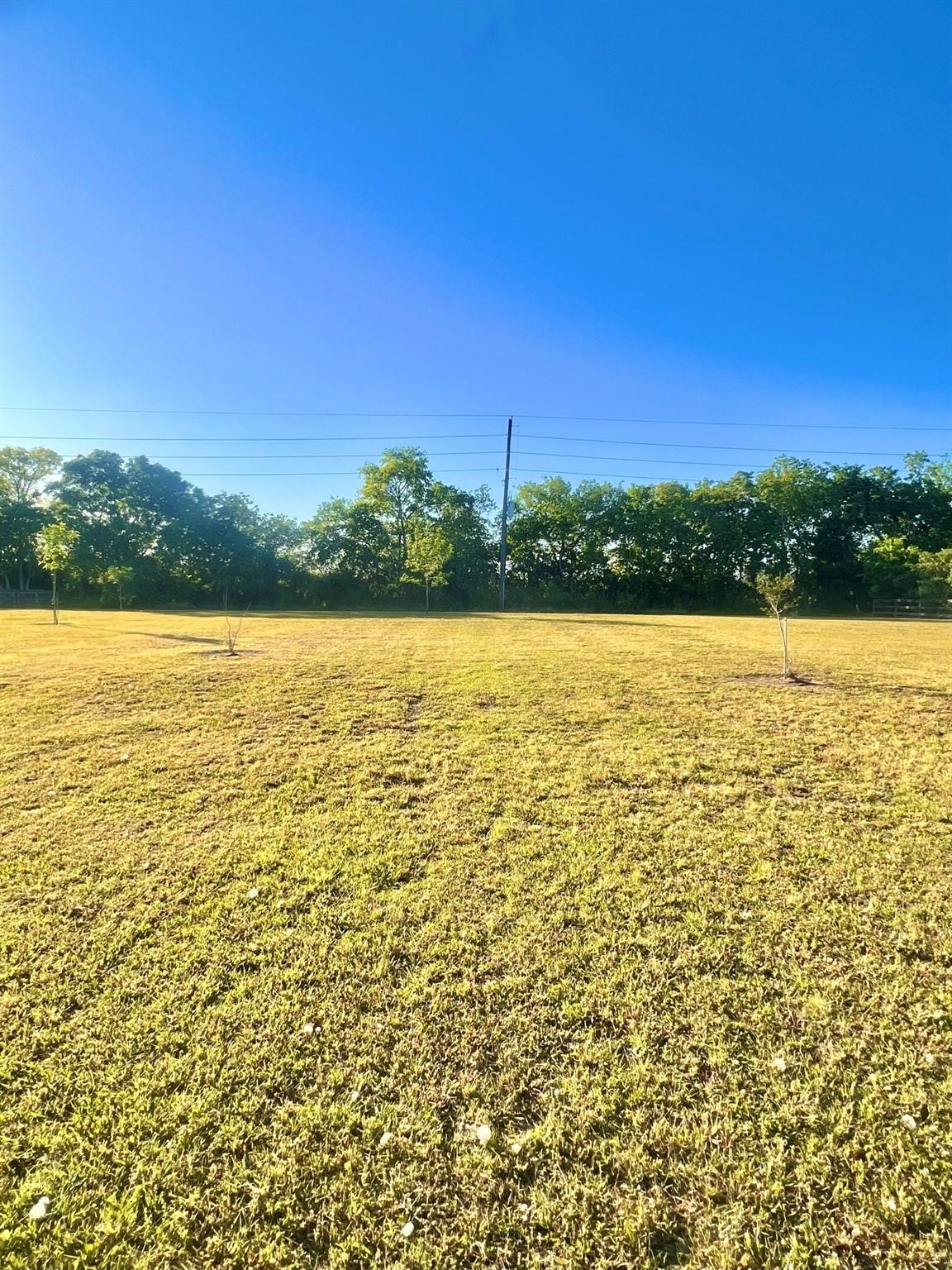 13702 Lakeview Meadow Drive Property Photo 9