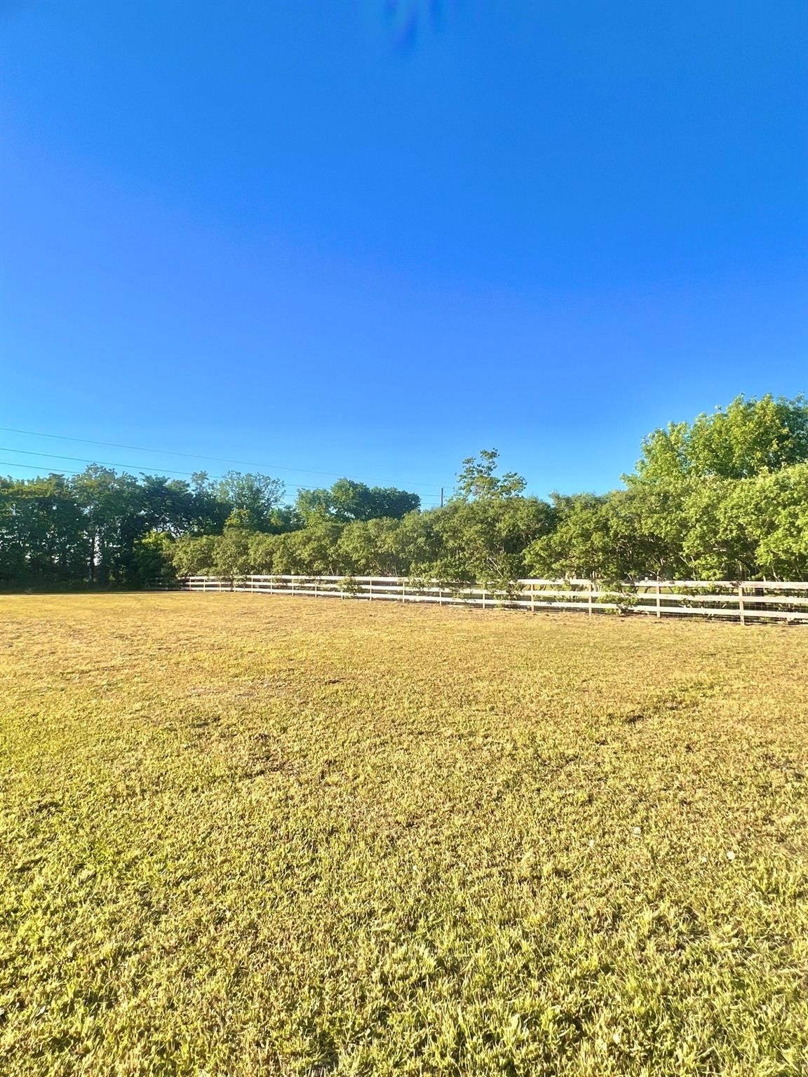 13702 Lakeview Meadow Drive Property Photo 10