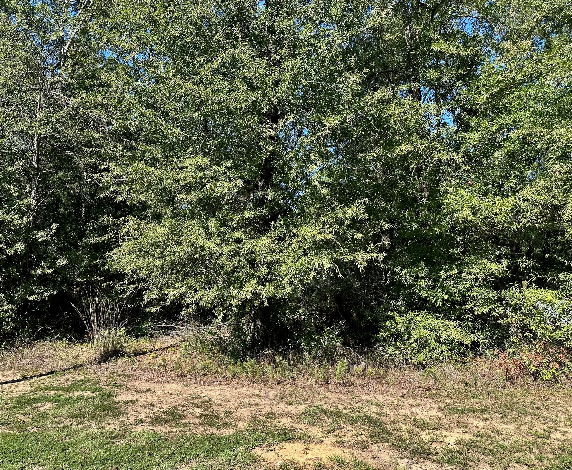 Tbd Parkpine Property Photo 2