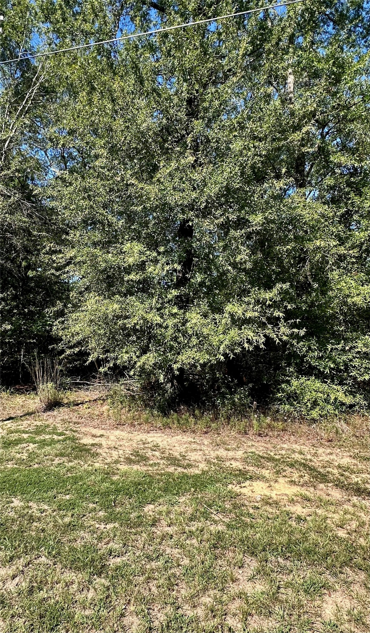 Tbd Parkpine Property Photo 5