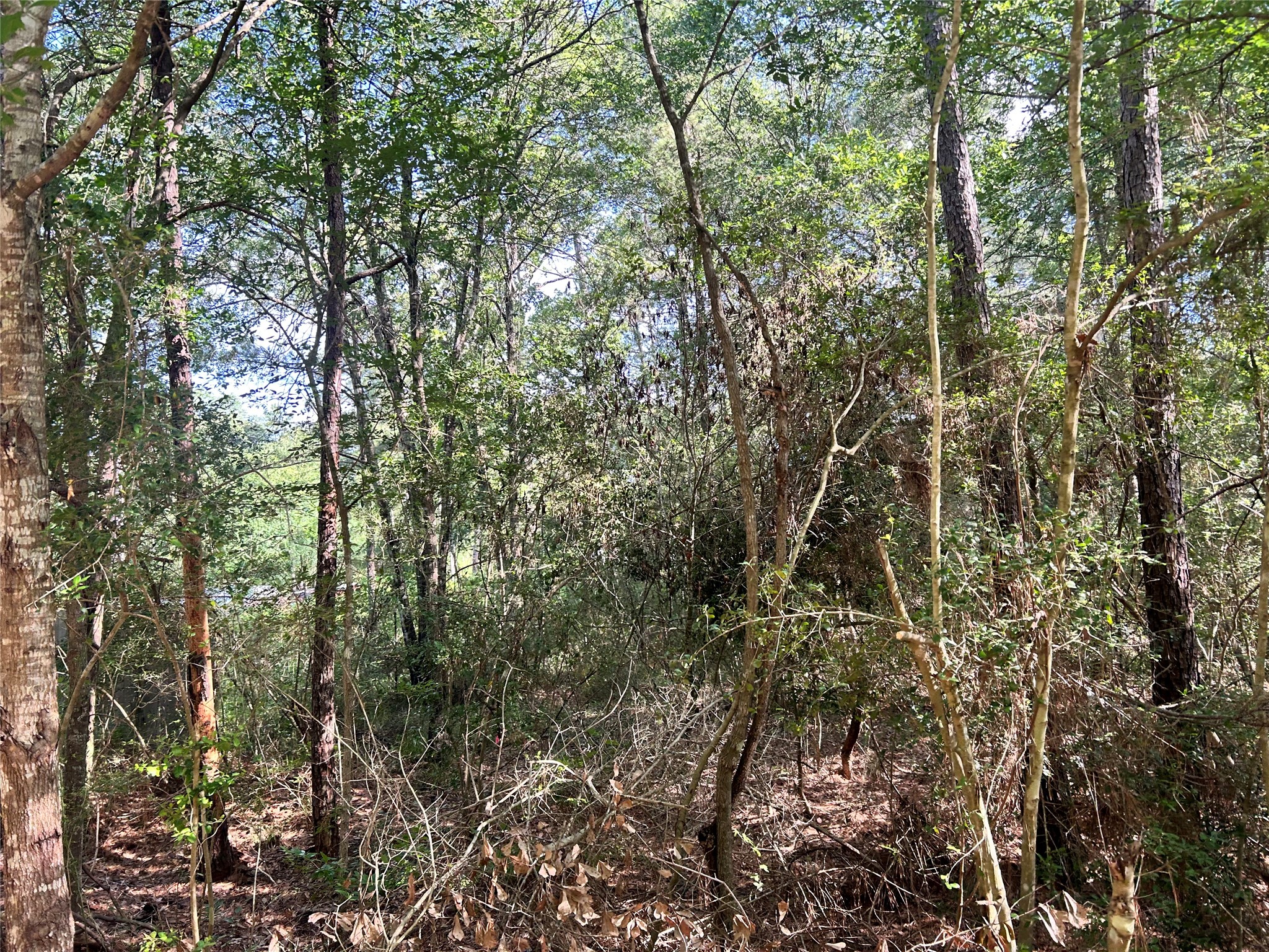 Lot 28 Sycamore Lane Property Photo 3