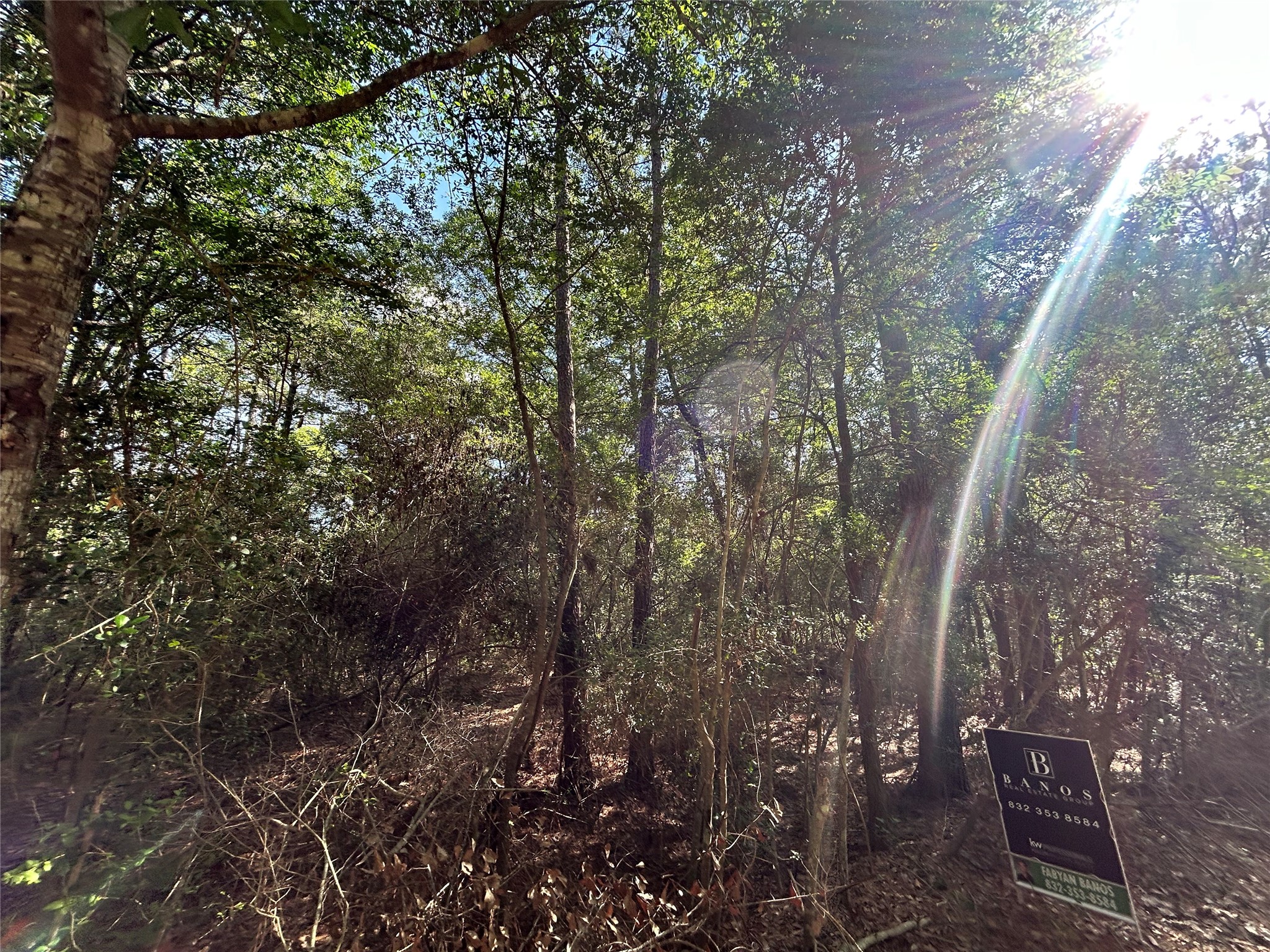 Lot 28 Sycamore Lane Property Photo 4