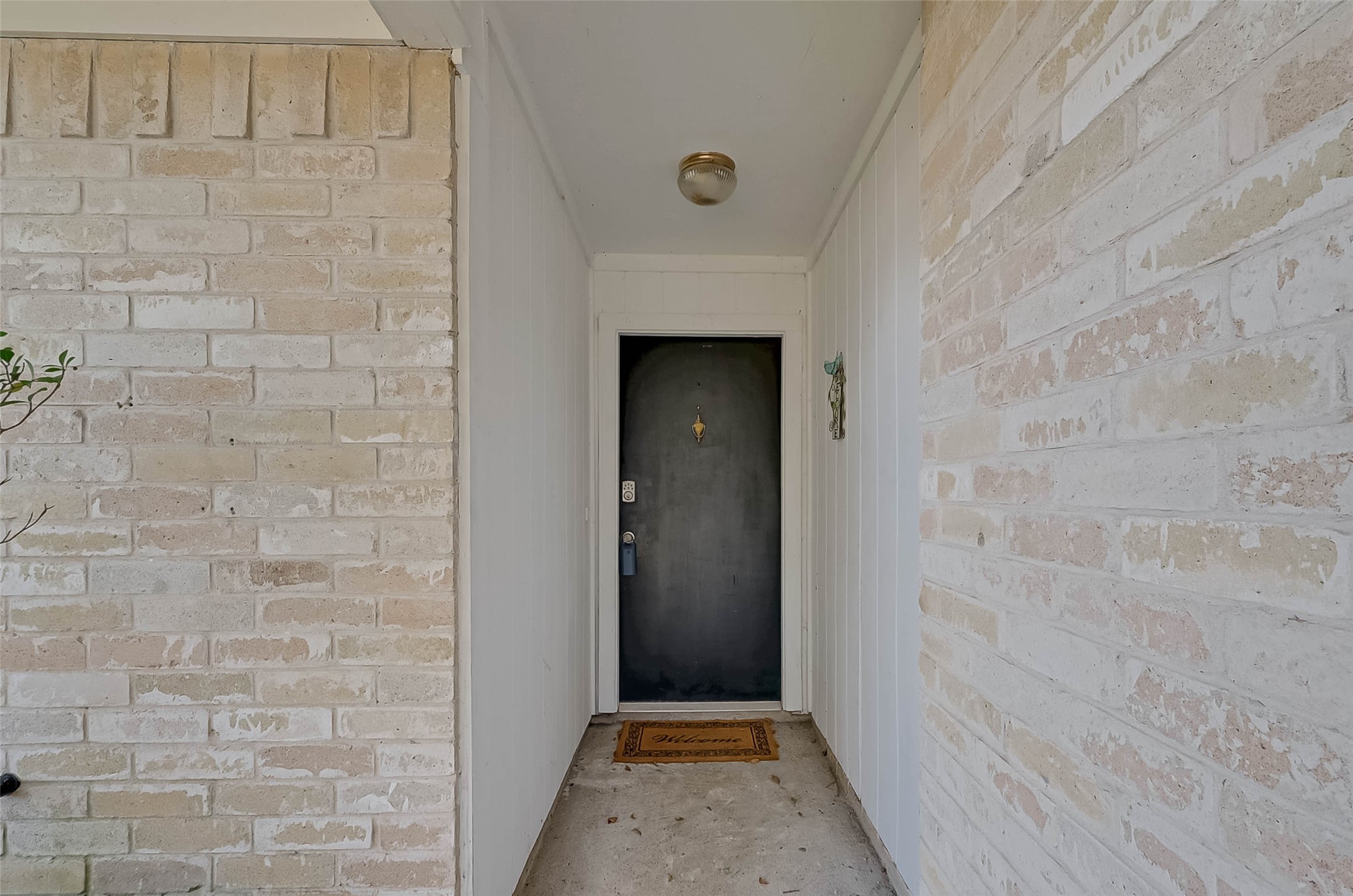 1003 Shadow Mountain Drive Property Photo 4