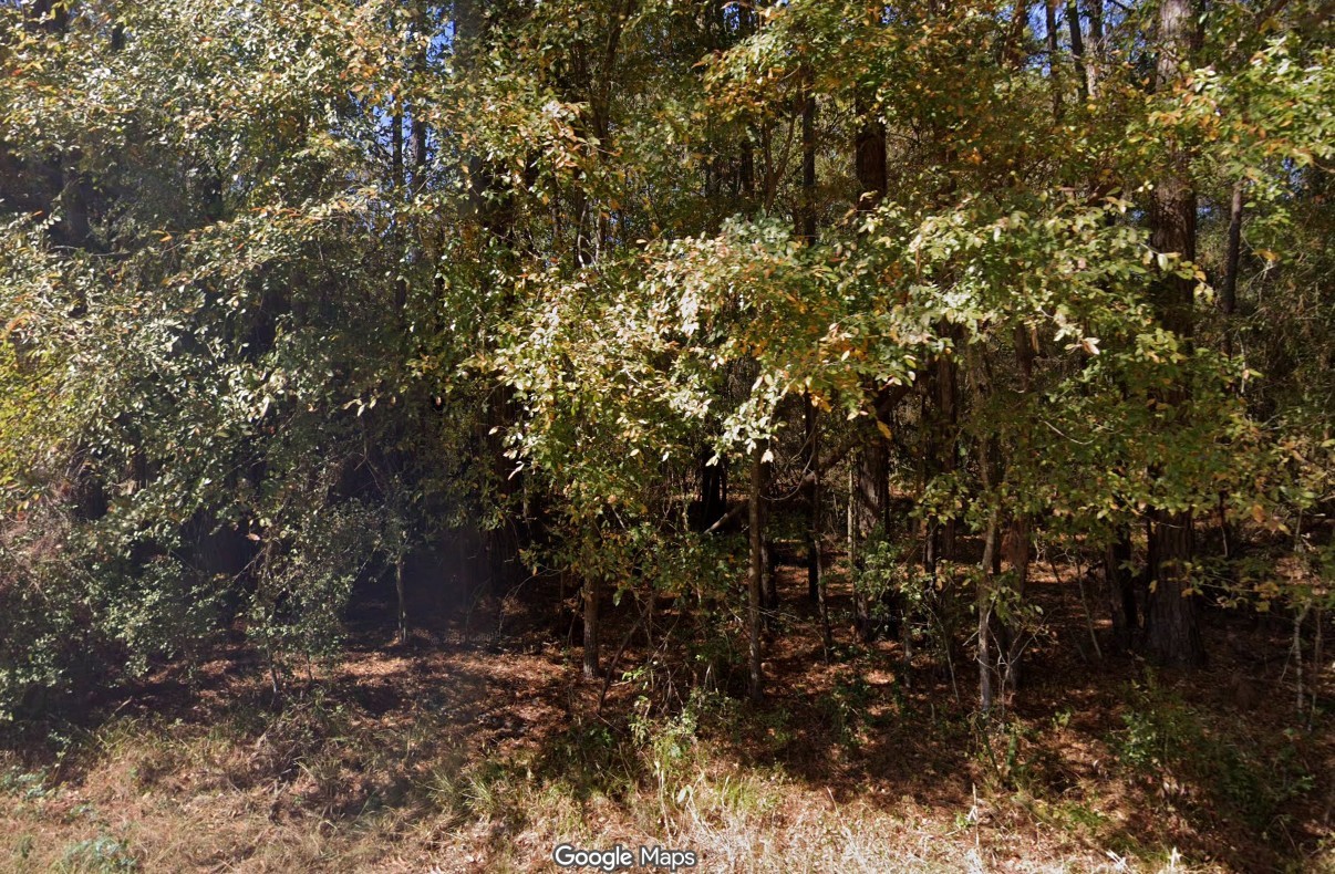 0 Anglers Drive Property Photo 2