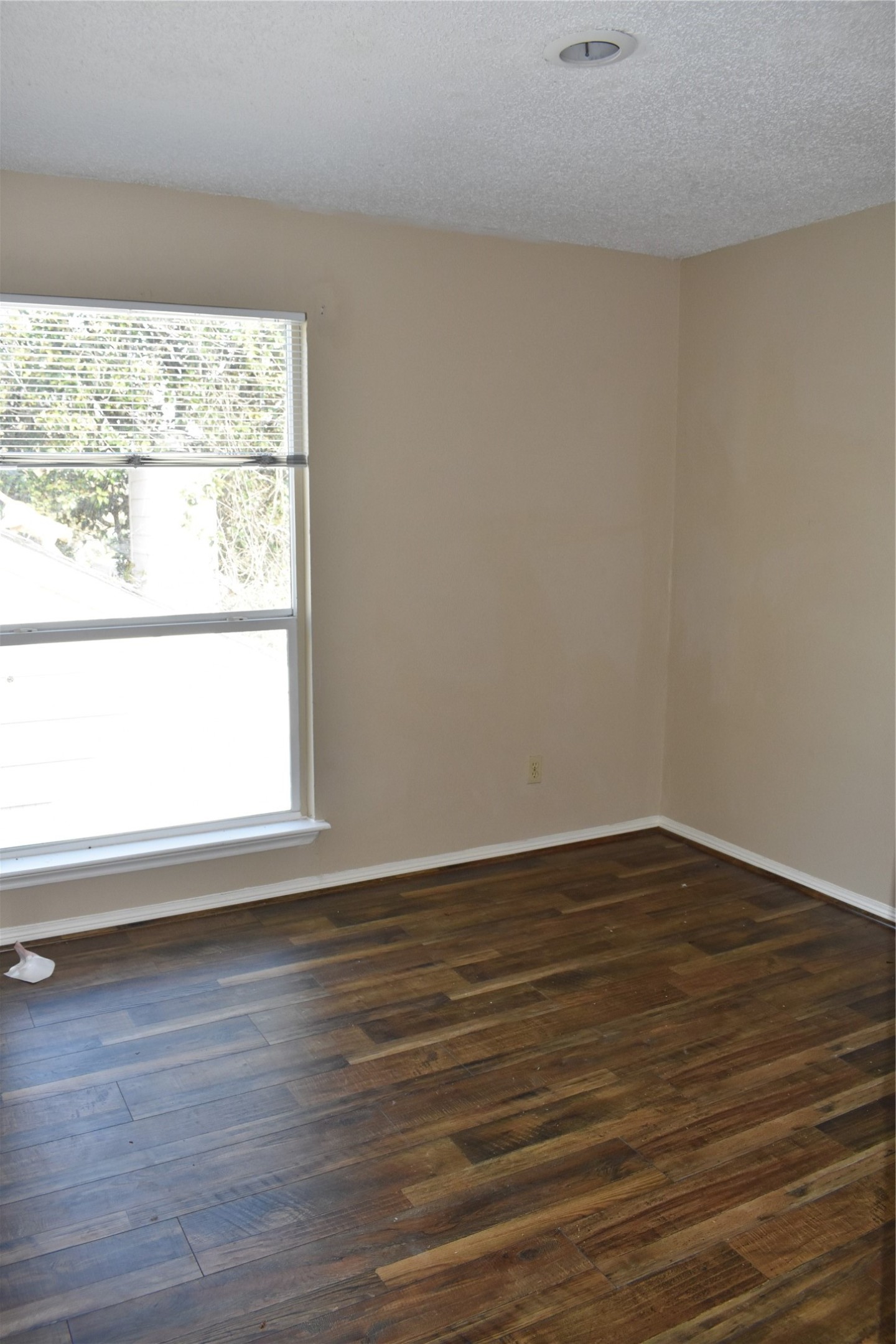 8903 Kalewood Drive Property Photo 26