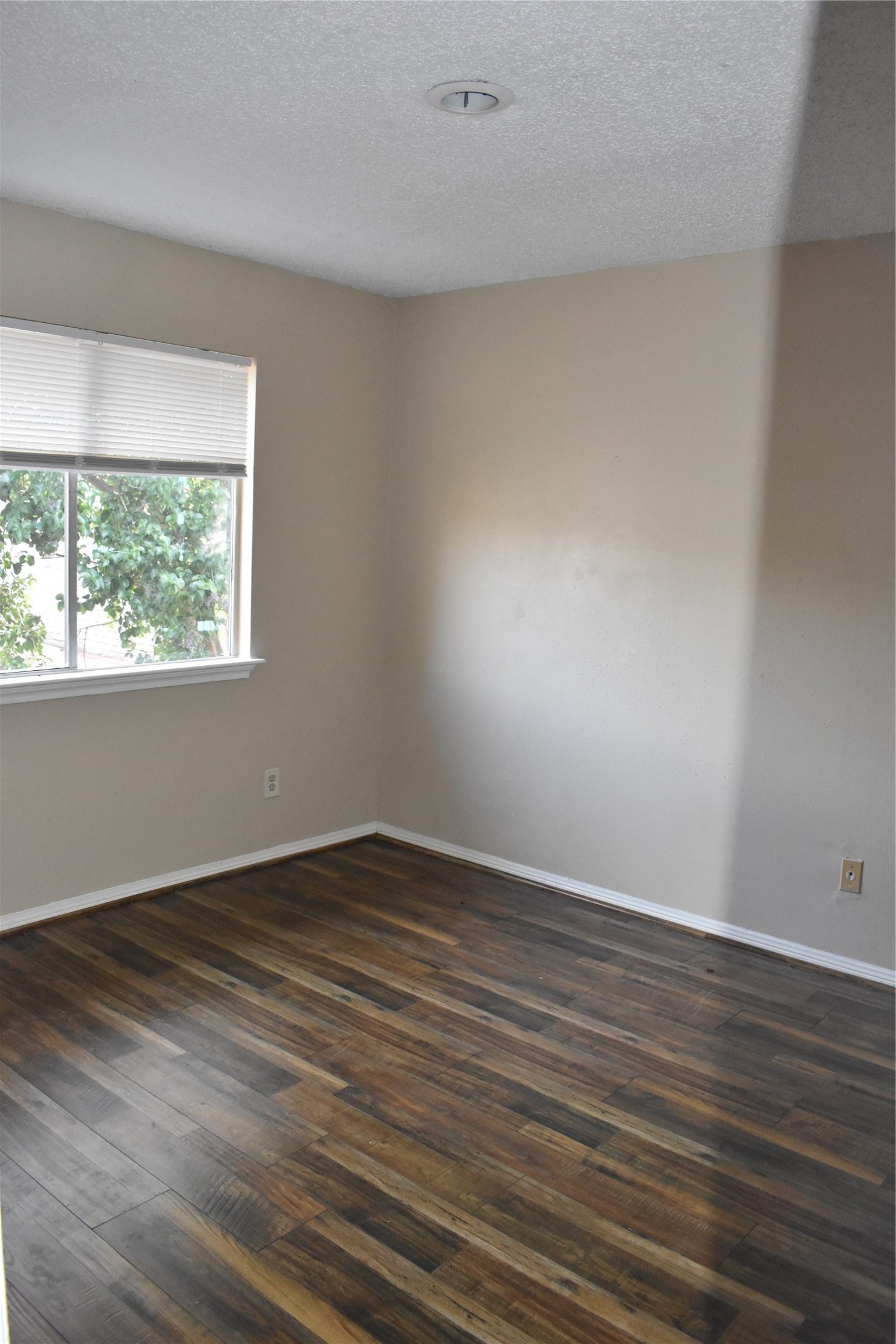 8903 Kalewood Drive Property Photo 27