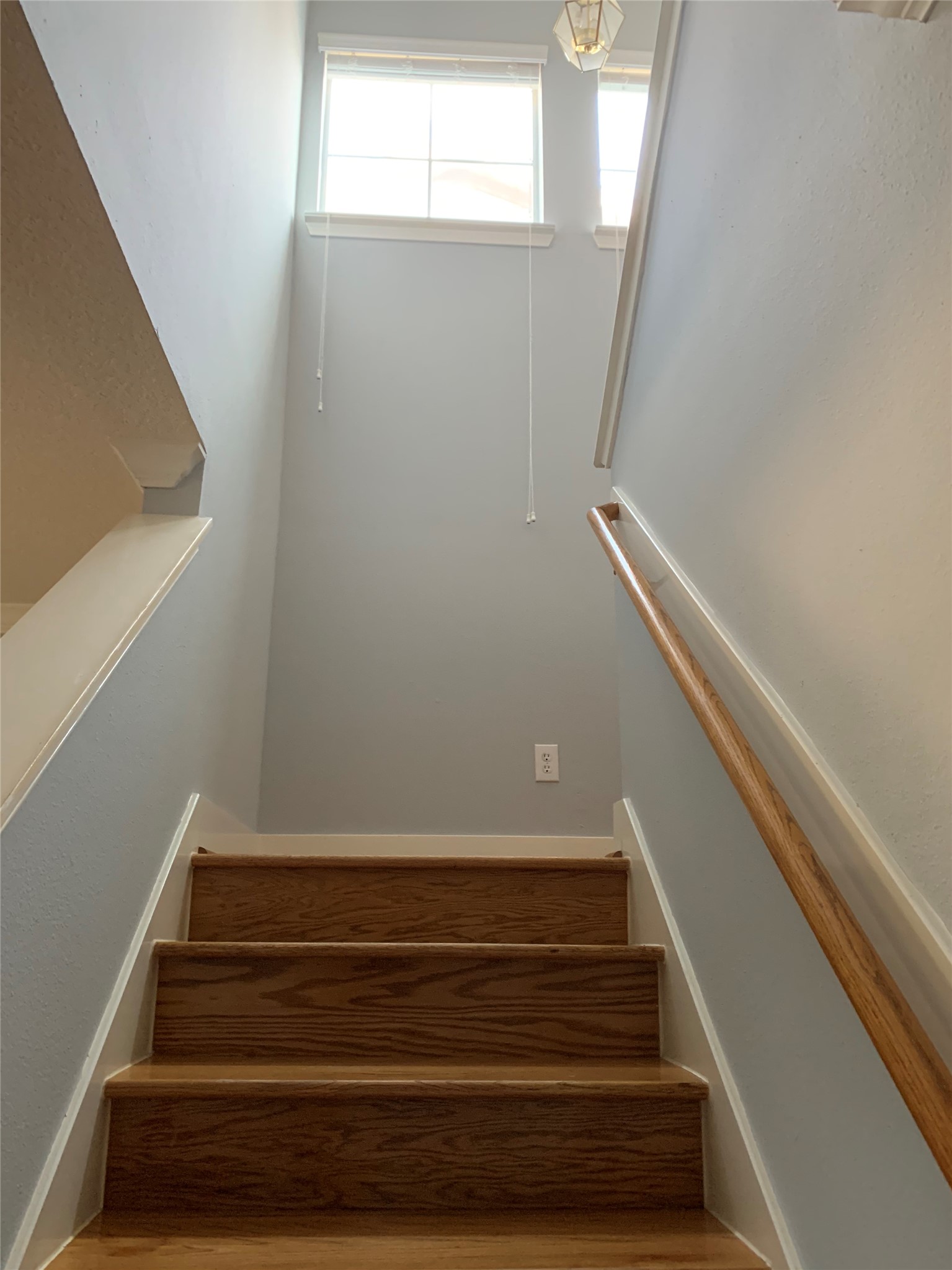 3923 Carriage Park Row Property Photo 14