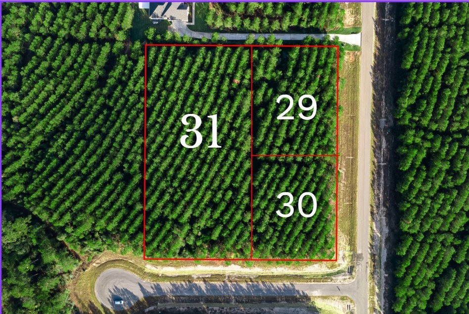 10517 Legends Road Property Photo 6