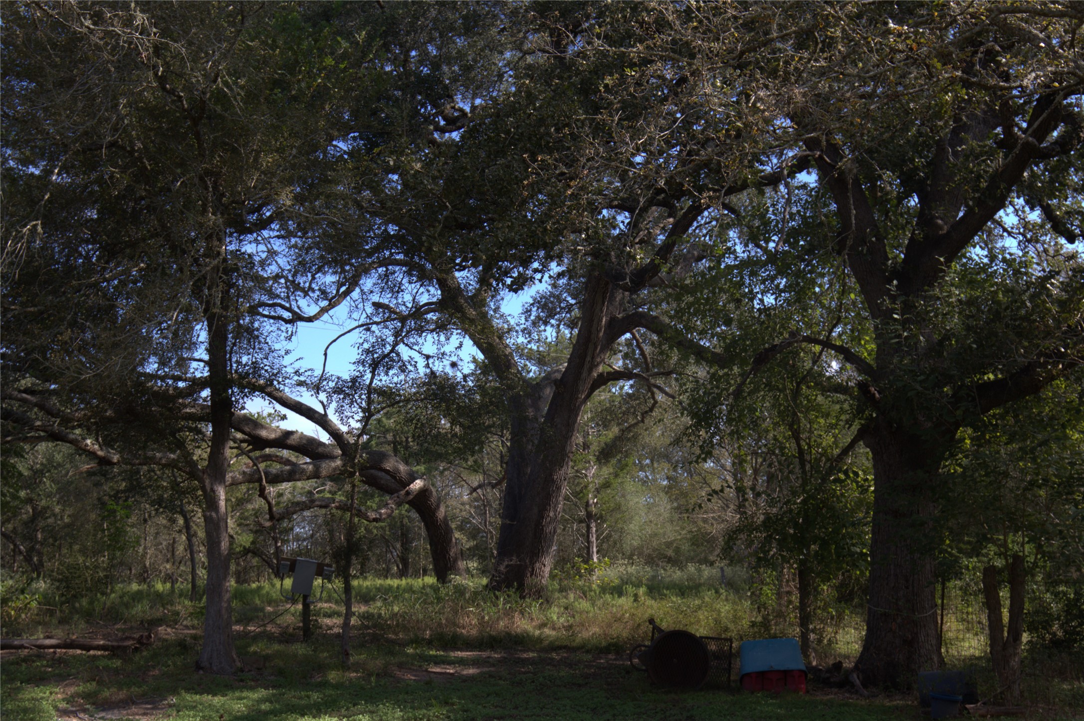 0 Kickler Road Property Photo 1