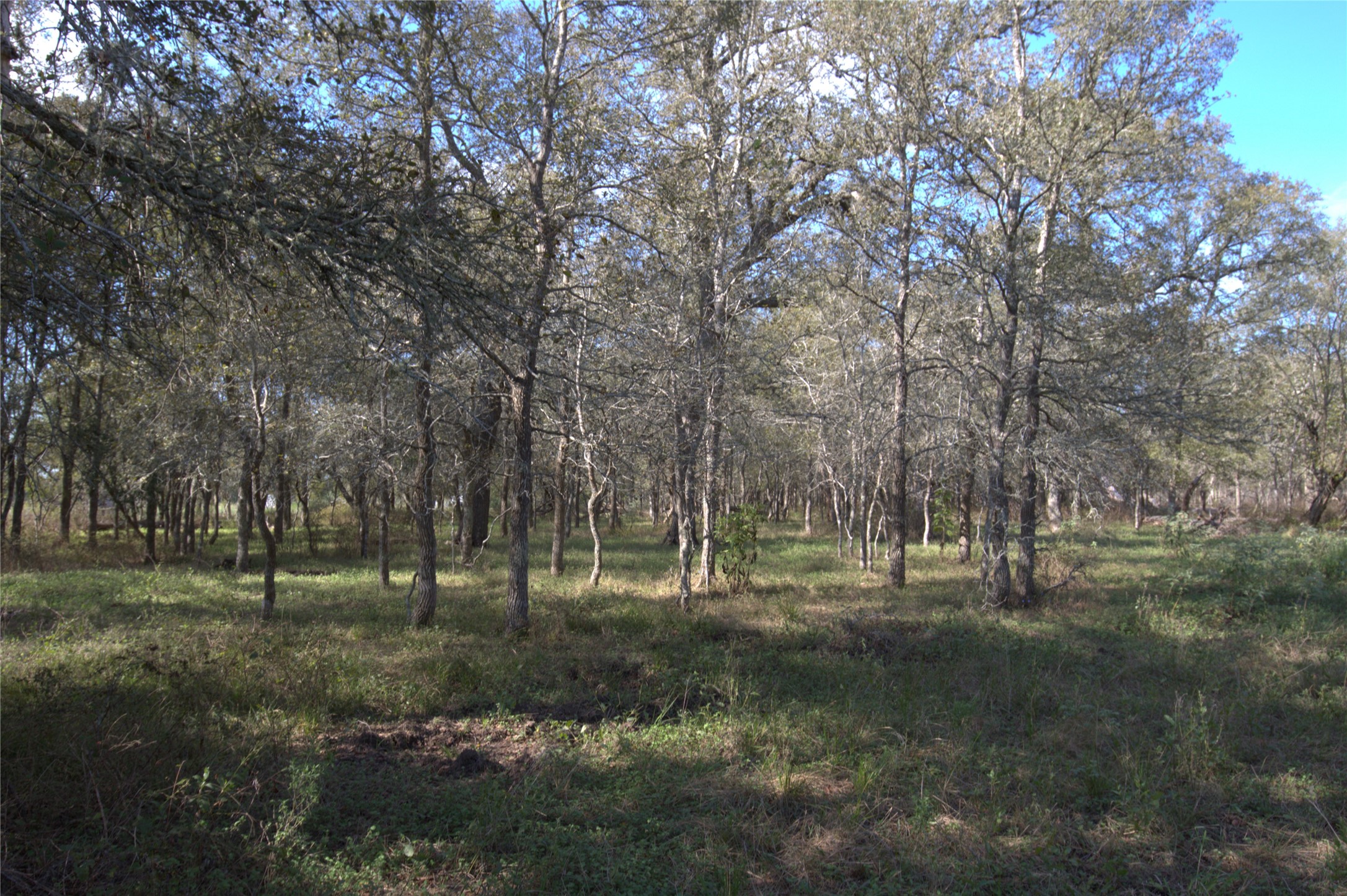 0 Kickler Road Property Photo 2