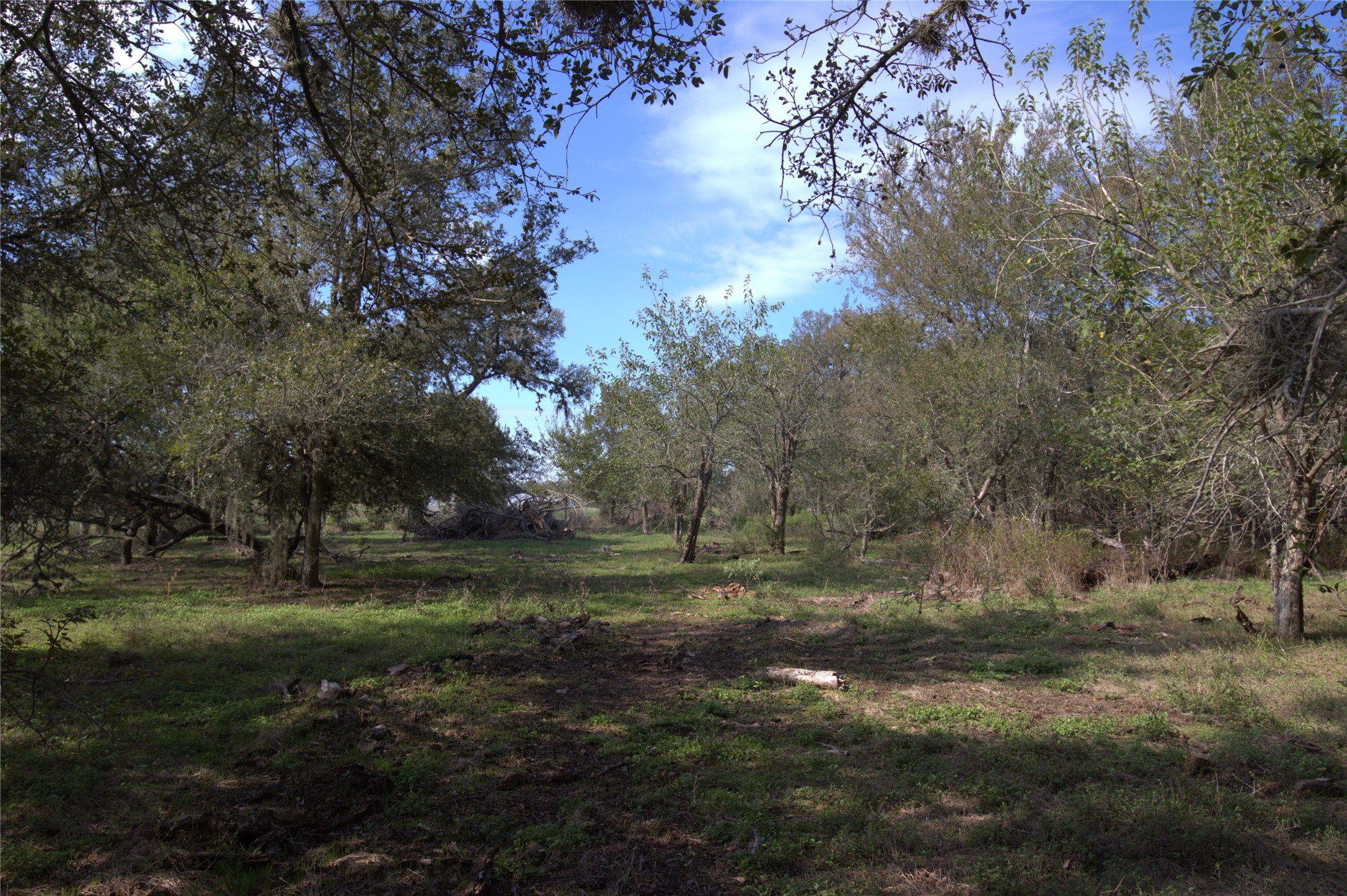 0 Kickler Road Property Photo 3