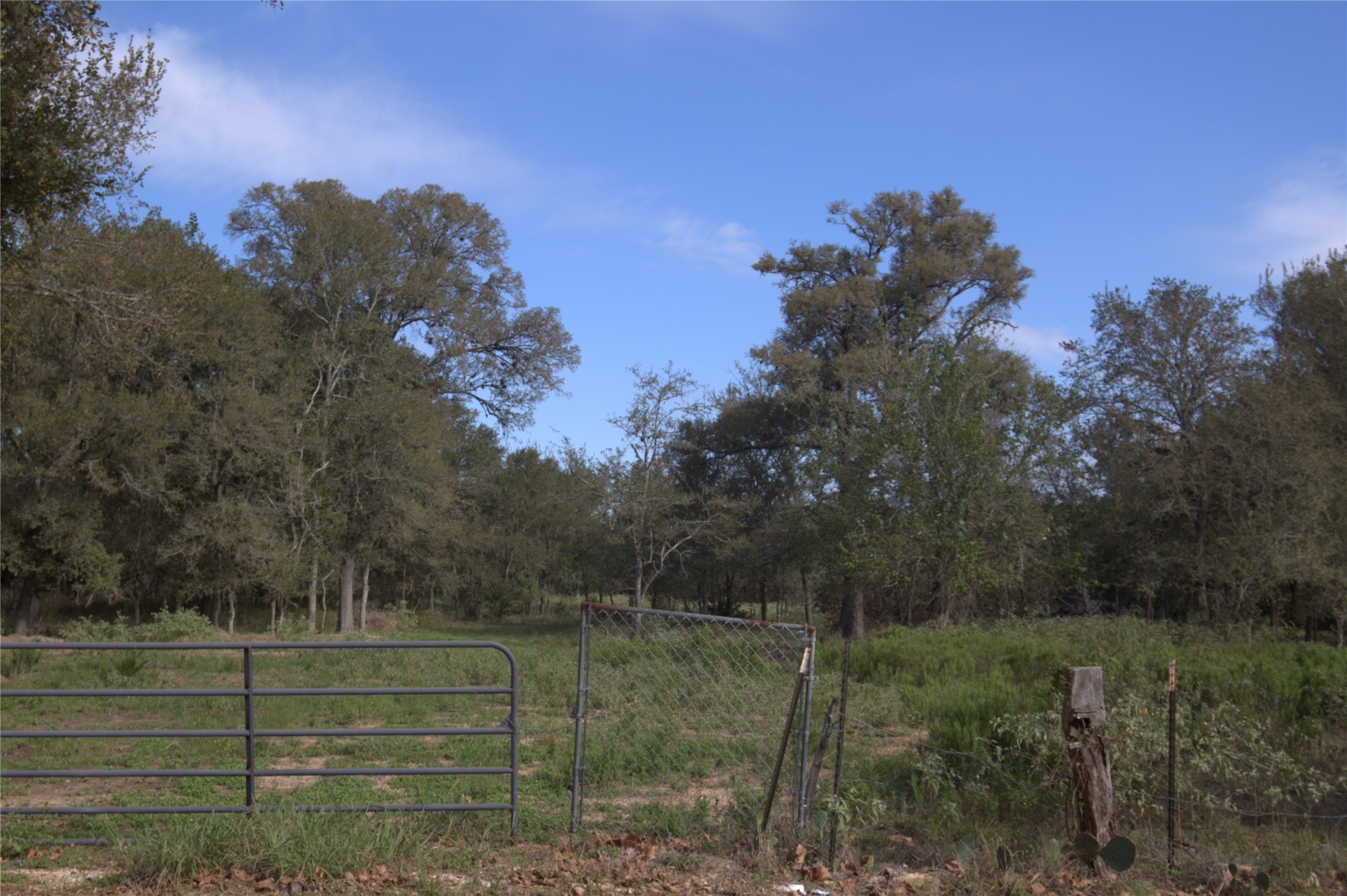 0 Kickler Road Property Photo 4