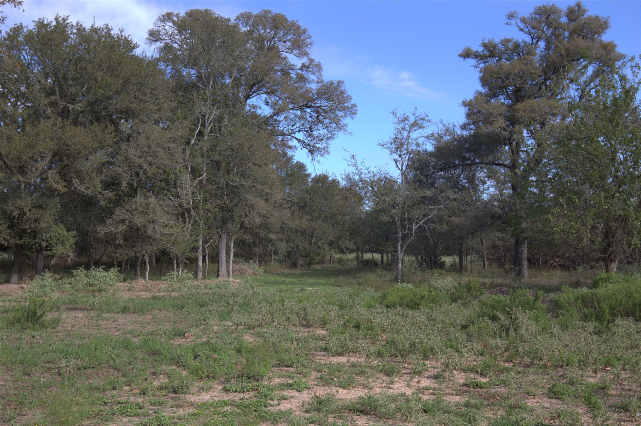 0 Kickler Road Property Photo 5