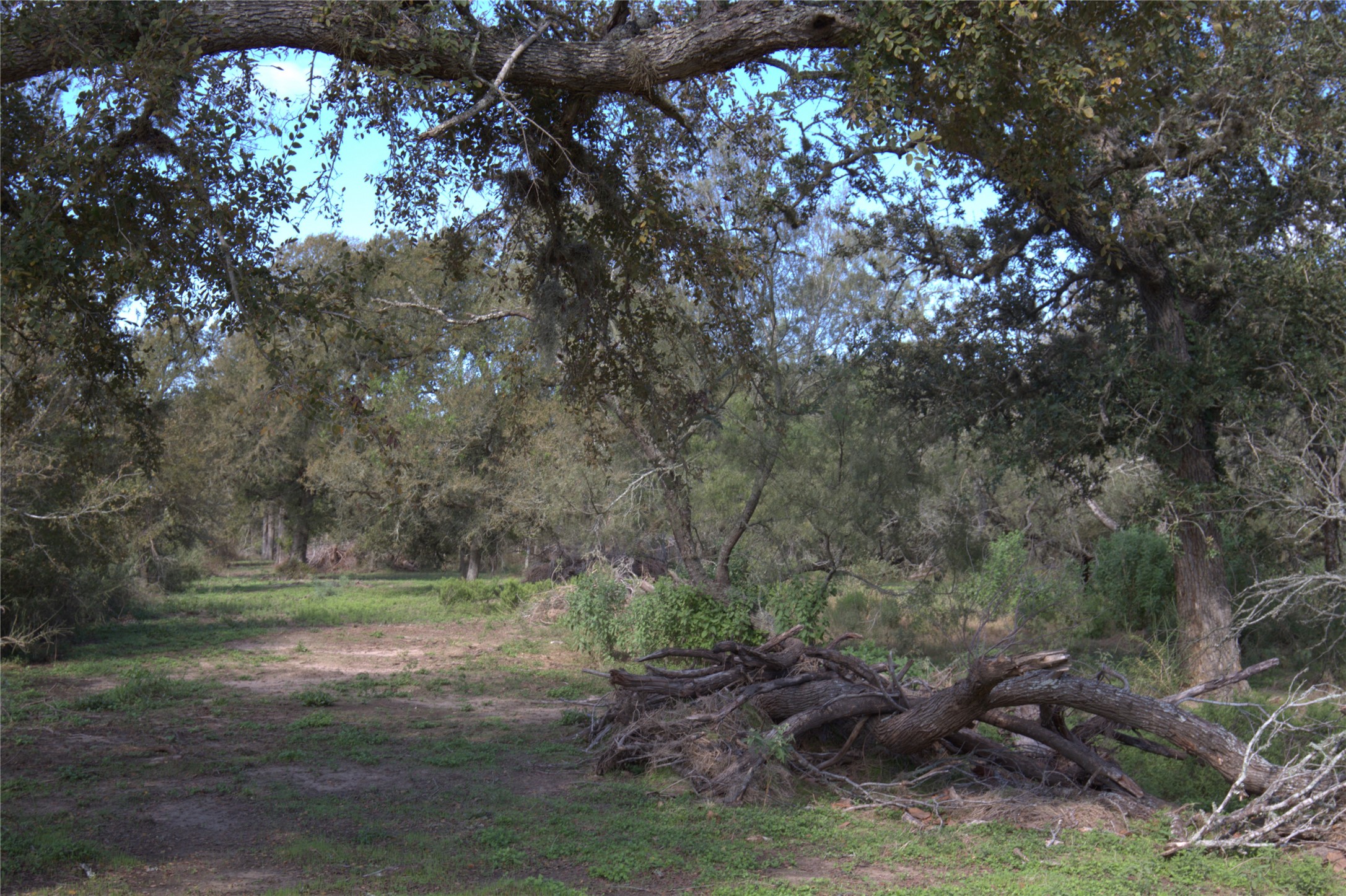 0 Kickler Road Property Photo 6