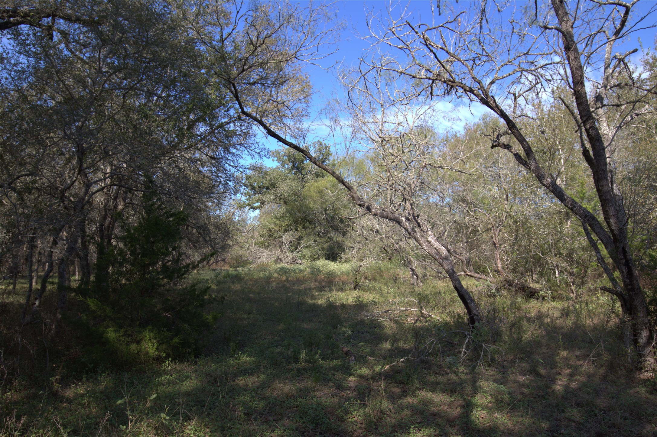 0 Kickler Road Property Photo 10