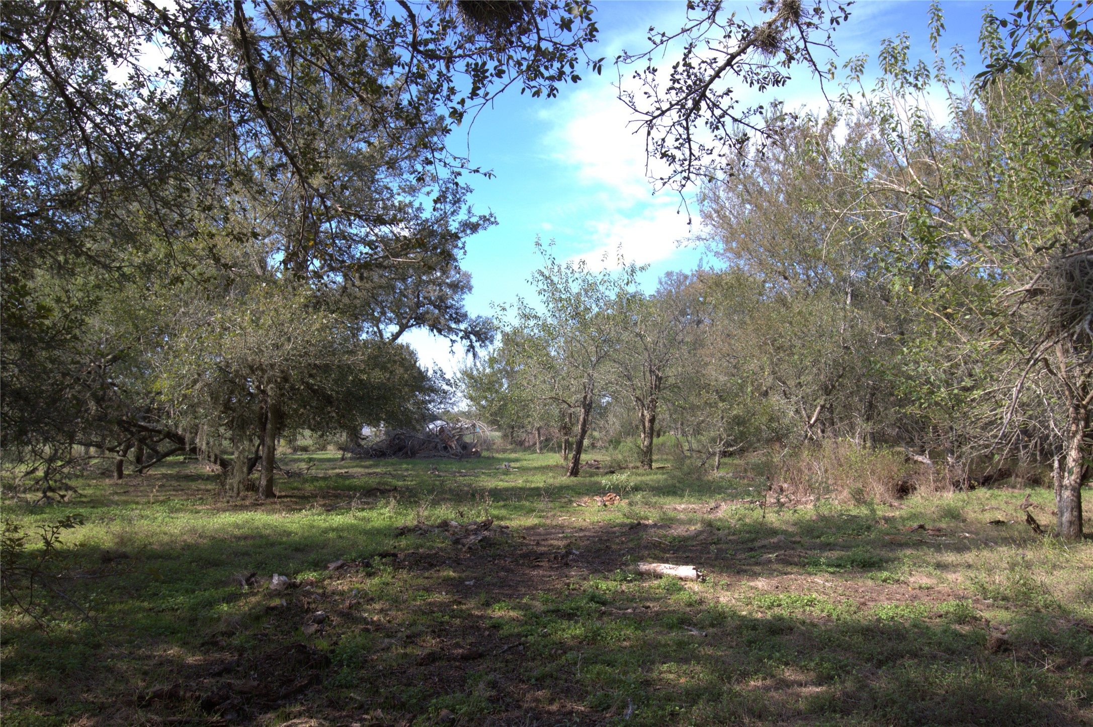 0 Kickler Road Property Photo 12