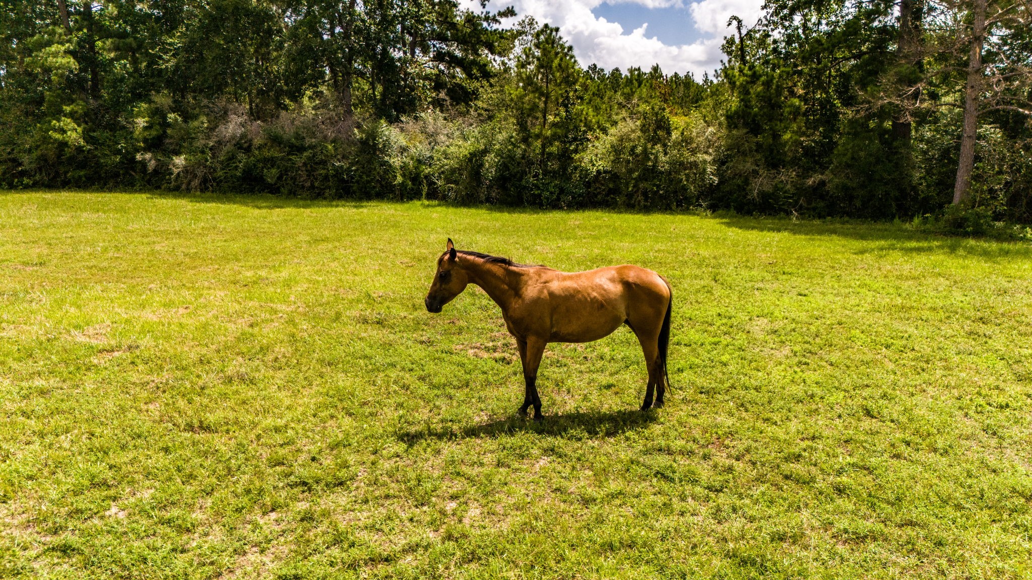 Tbd Benny Griffin Road Property Photo 2