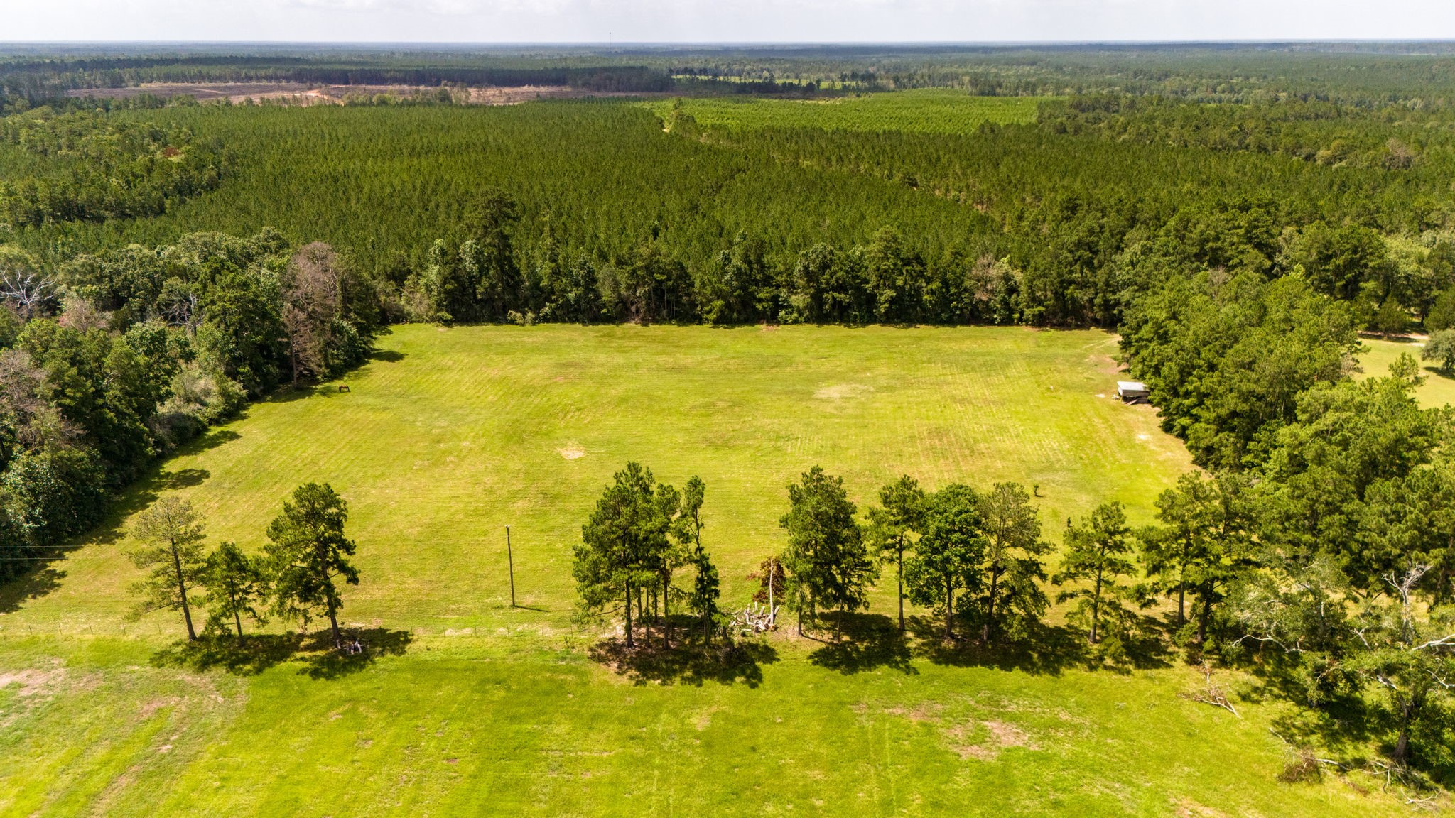 Tbd Benny Griffin Road Property Photo 3