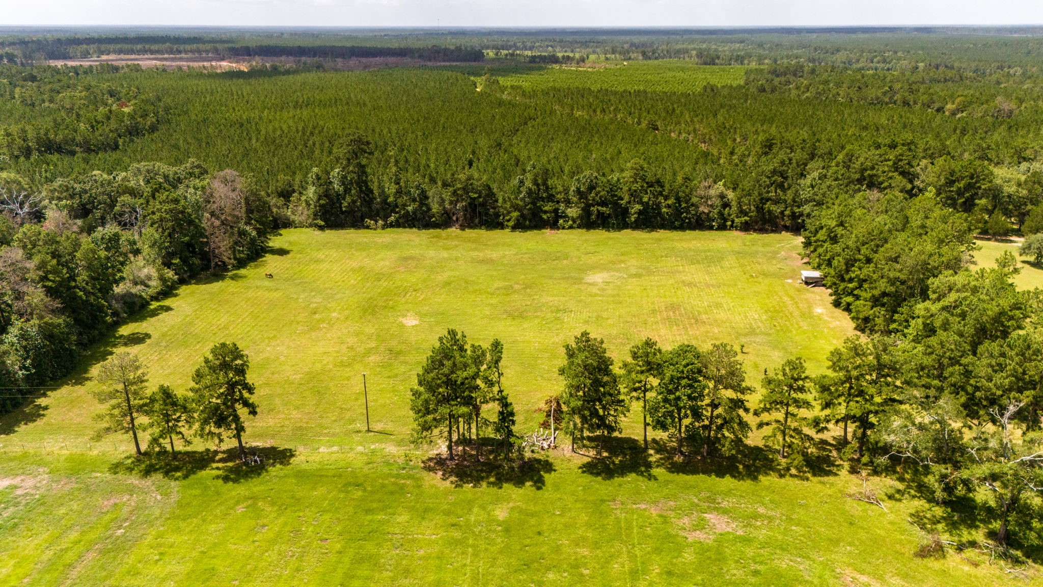 Tbd Benny Griffin Road Property Photo 4