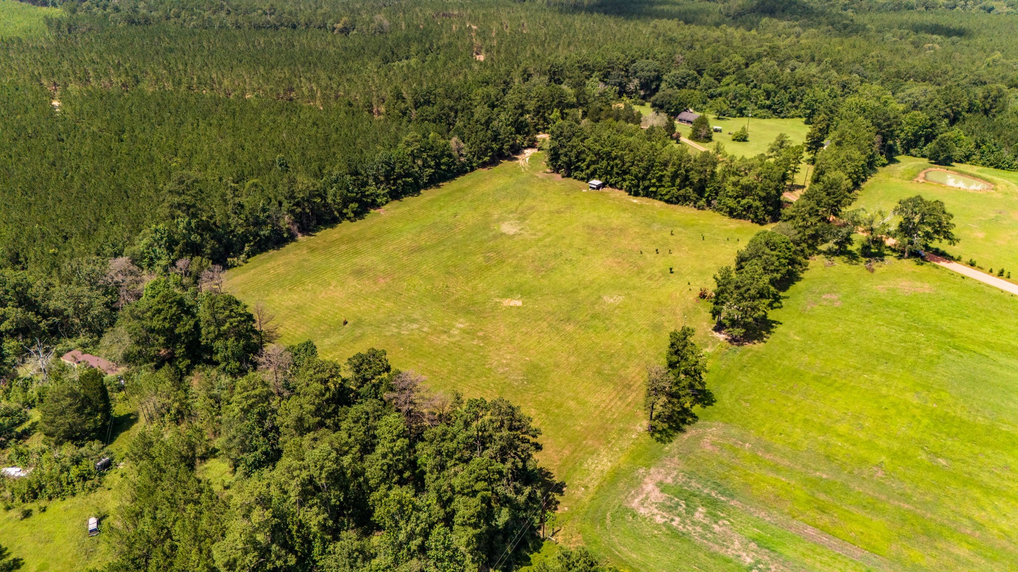 Tbd Benny Griffin Road Property Photo 5