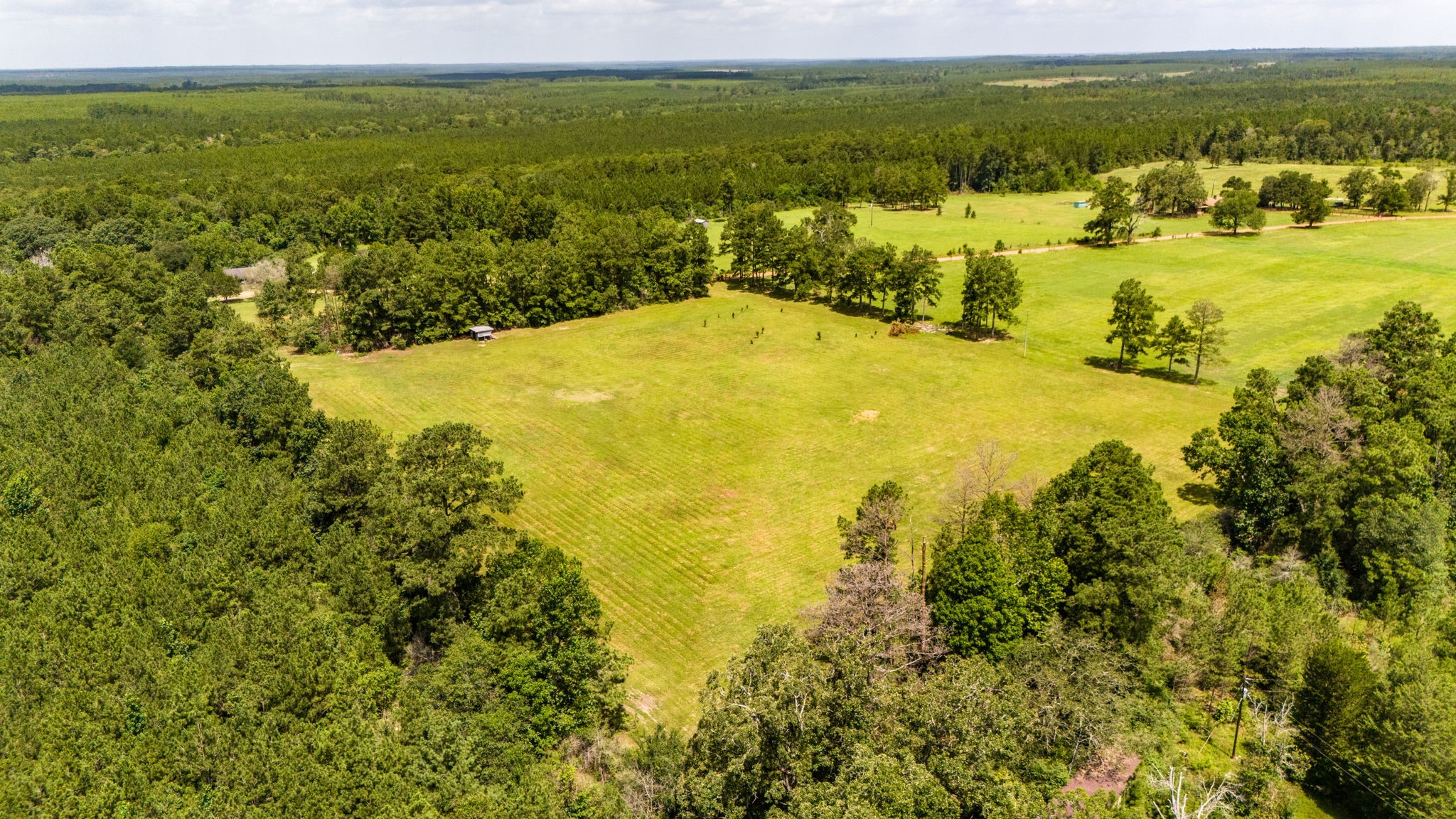 Tbd Benny Griffin Road Property Photo 6
