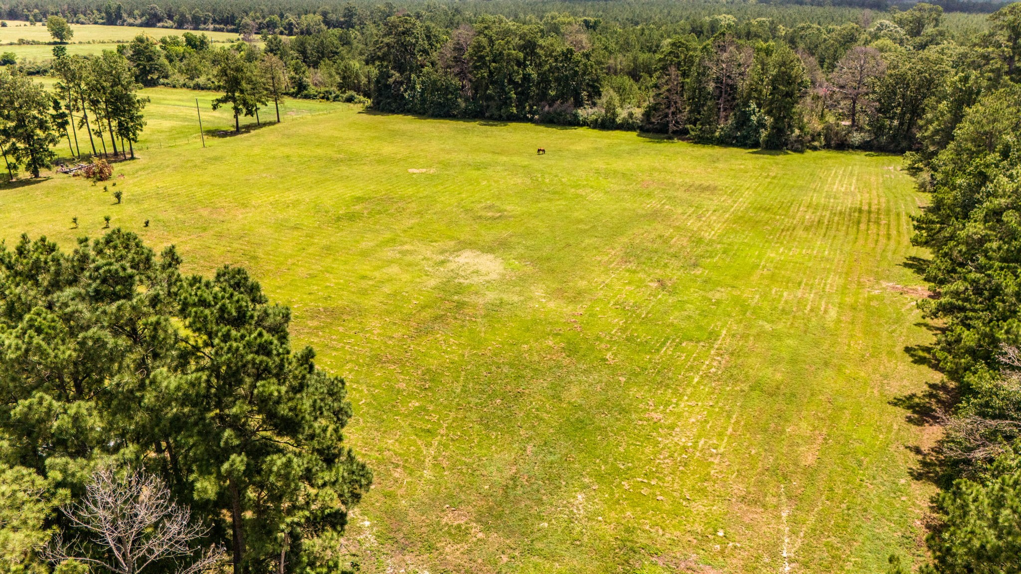 Tbd Benny Griffin Road Property Photo 9