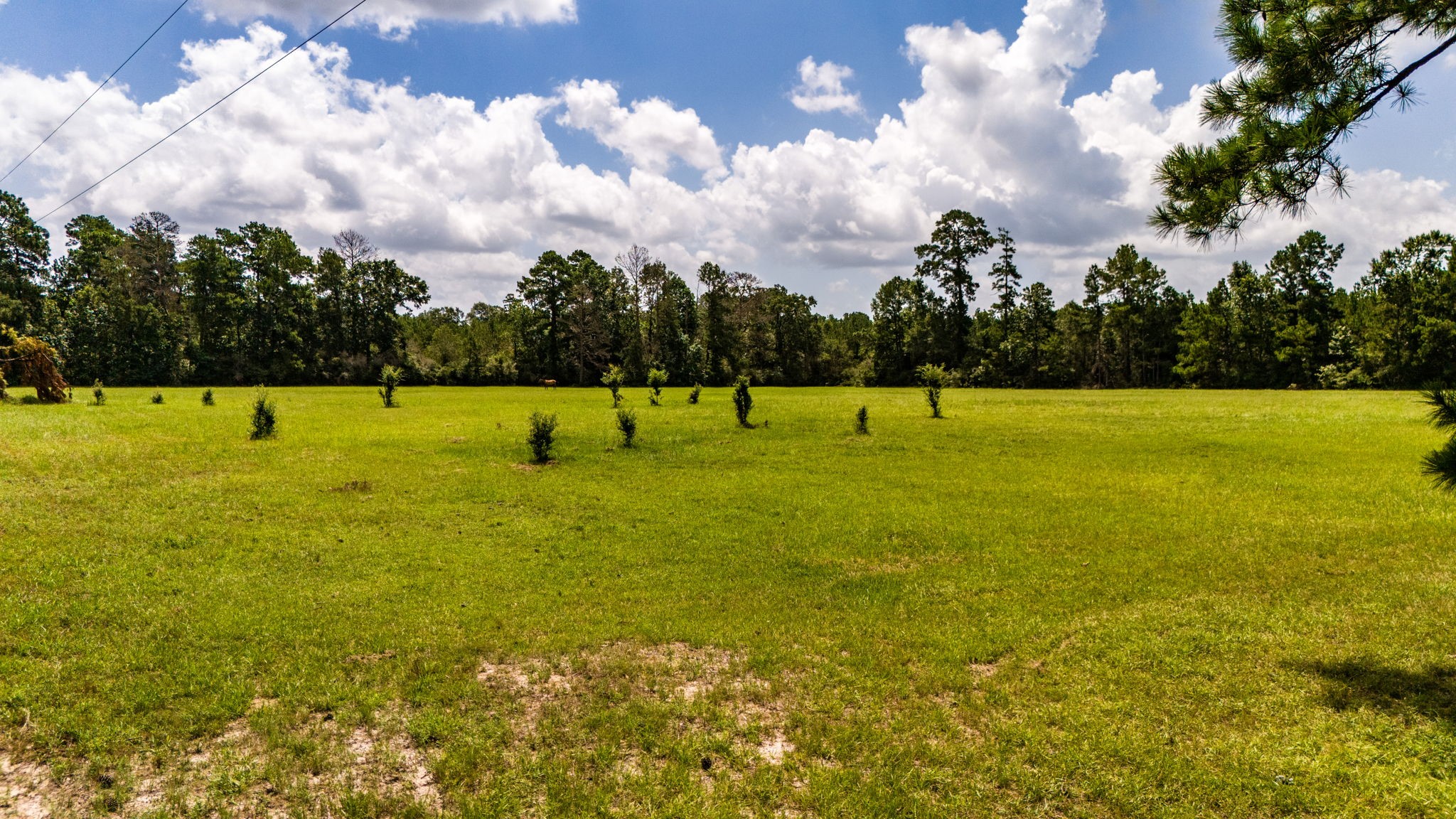 Tbd Benny Griffin Road Property Photo 12