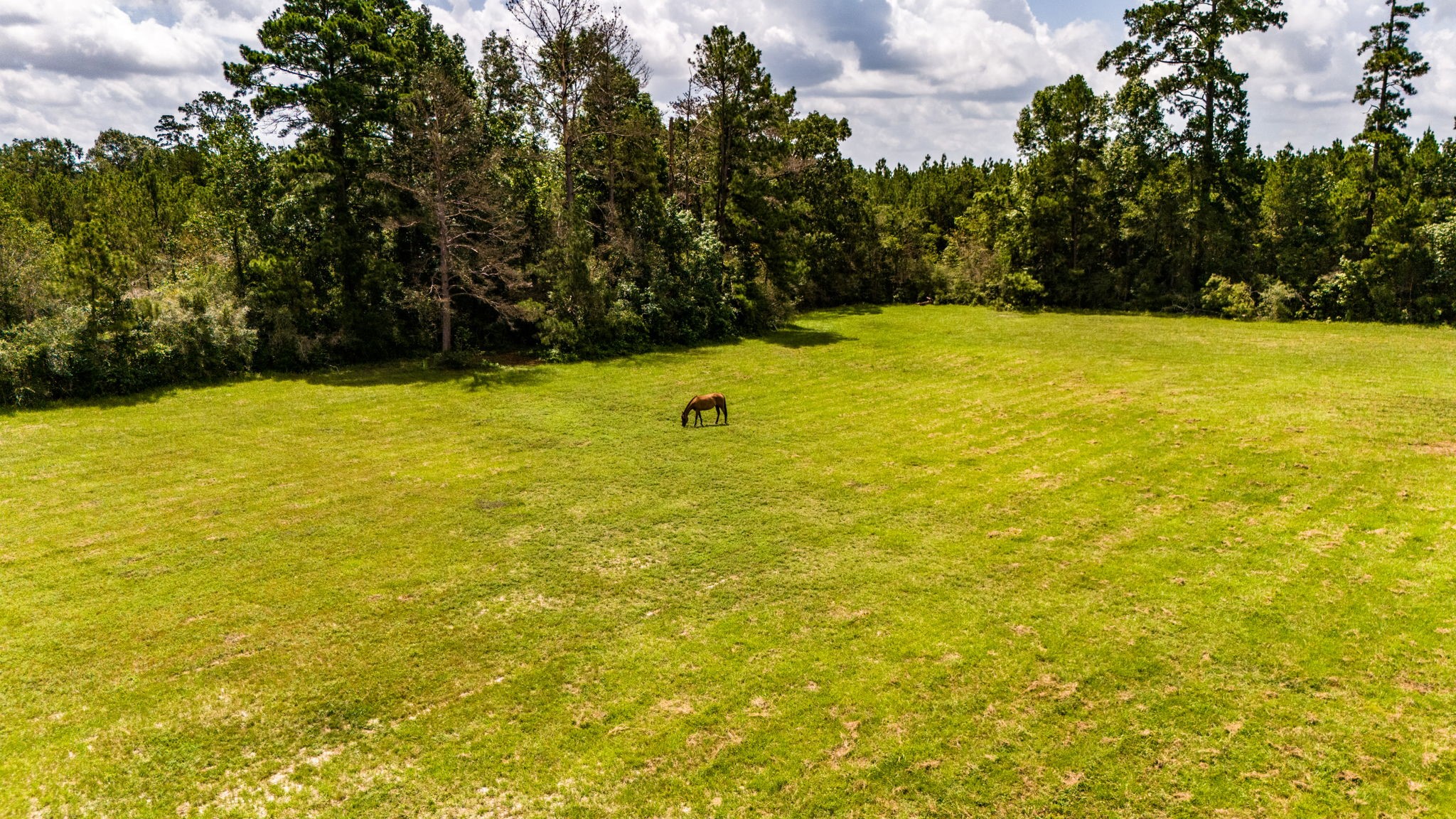 Tbd Benny Griffin Road Property Photo 14