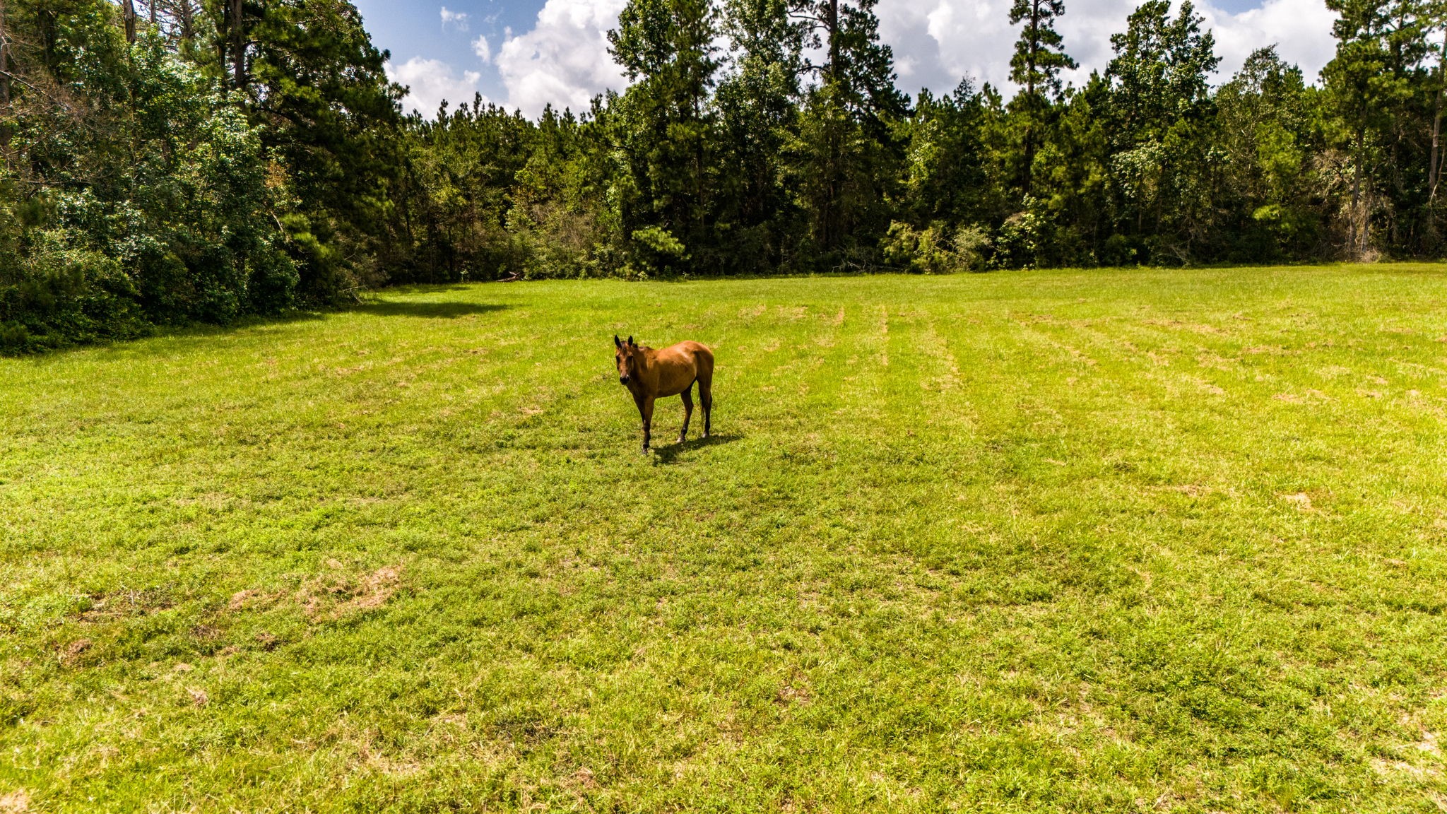 Tbd Benny Griffin Road Property Photo 15