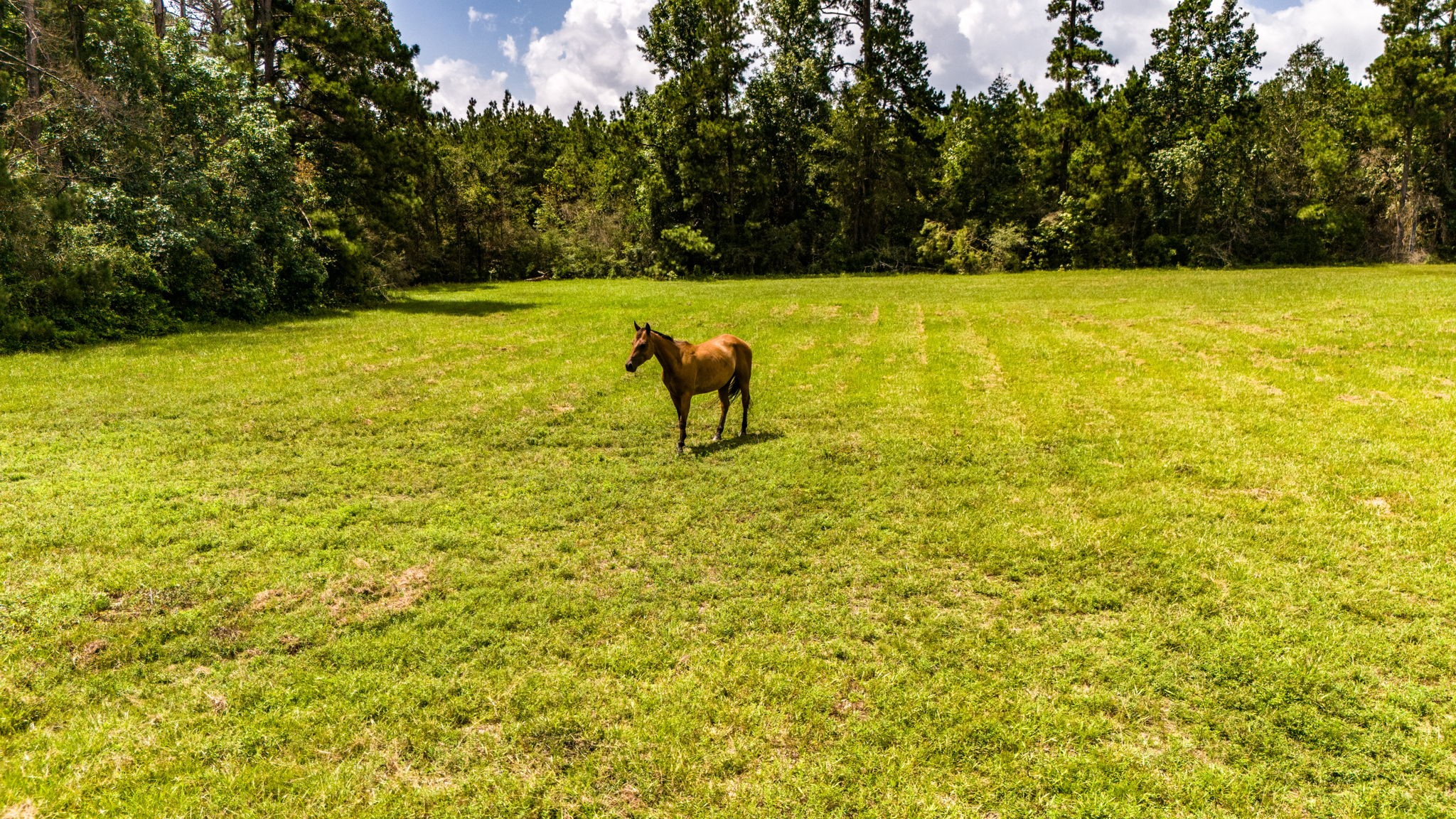 Tbd Benny Griffin Road Property Photo 16