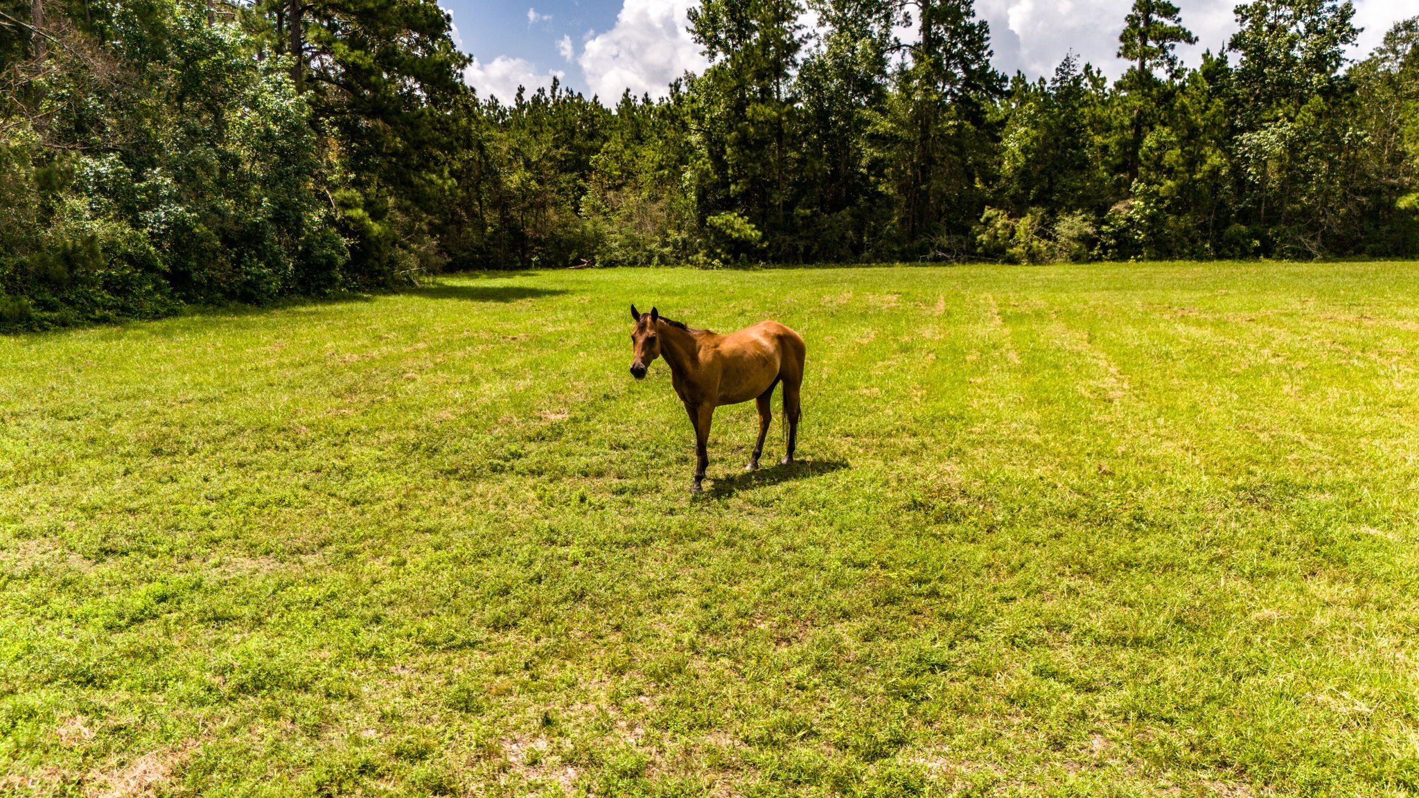 Tbd Benny Griffin Road Property Photo 17