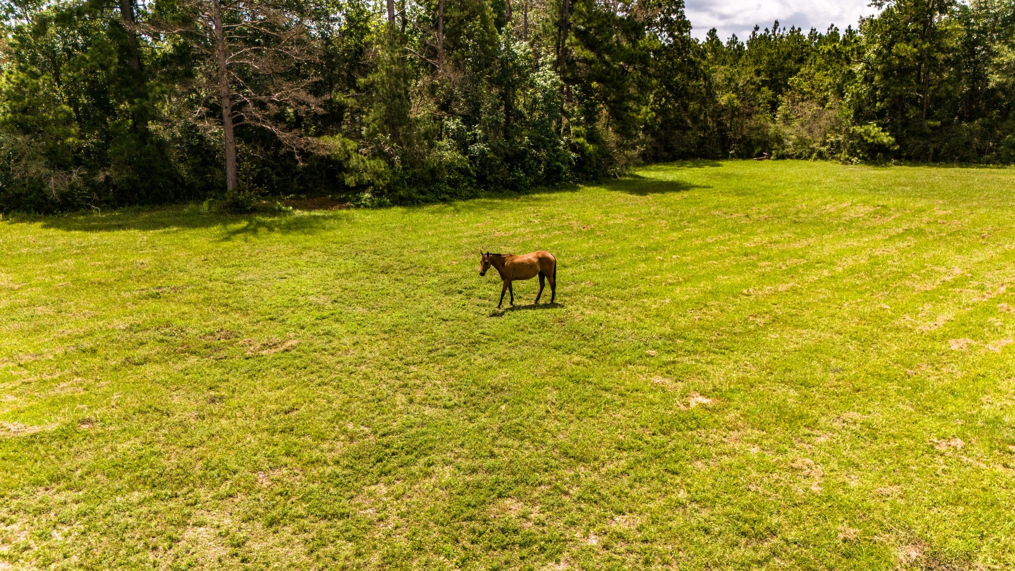 Tbd Benny Griffin Road Property Photo 18