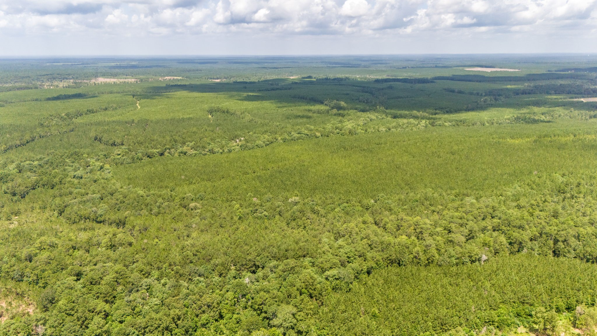Tbd Benny Griffin Road Property Photo 21