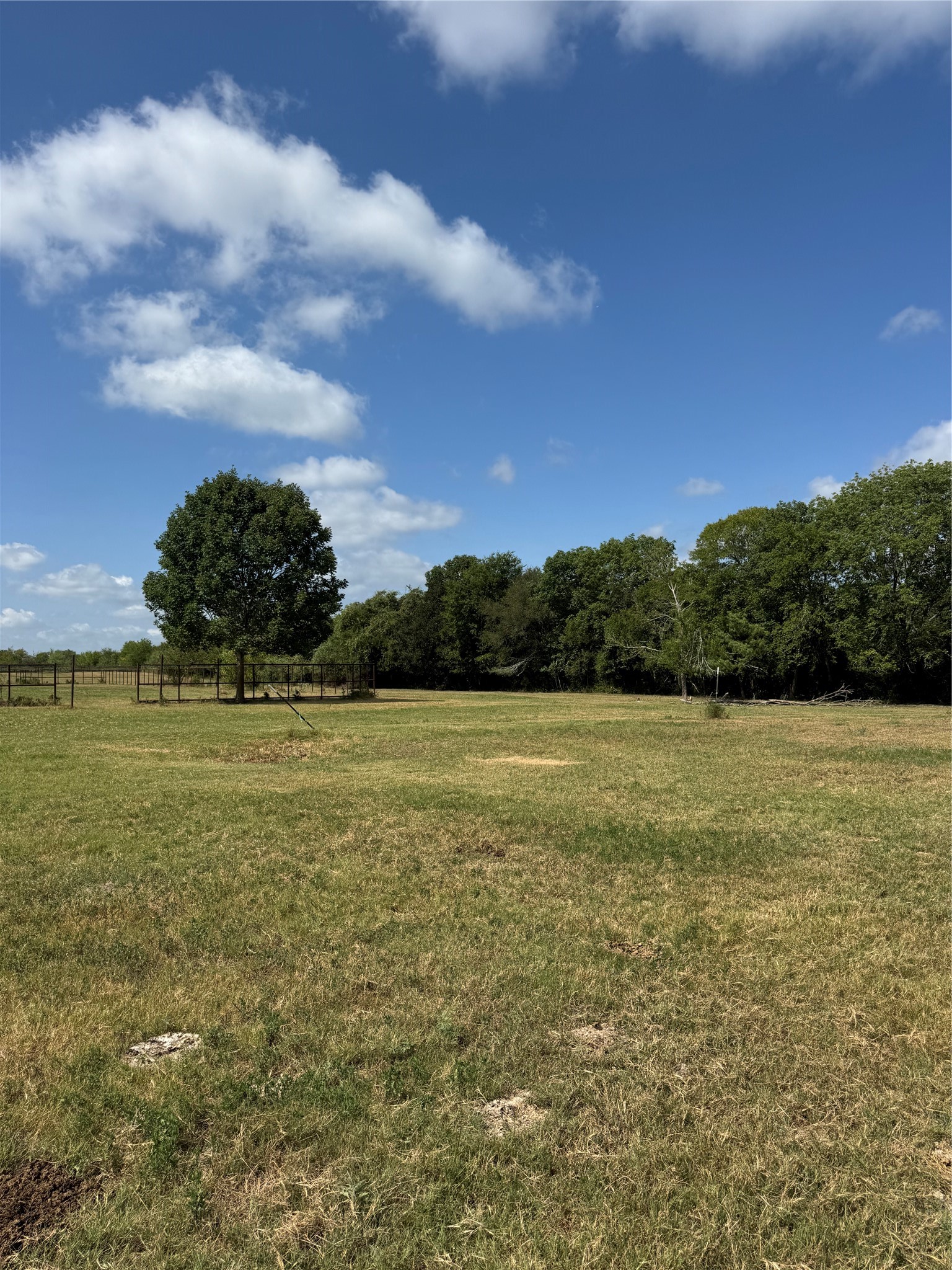 Tract 4 Fm 3060 Property Photo 4