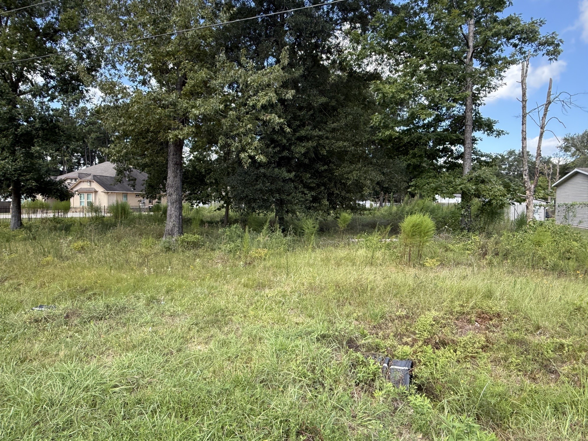 23923 Paper Wasp Lane Property Photo 1