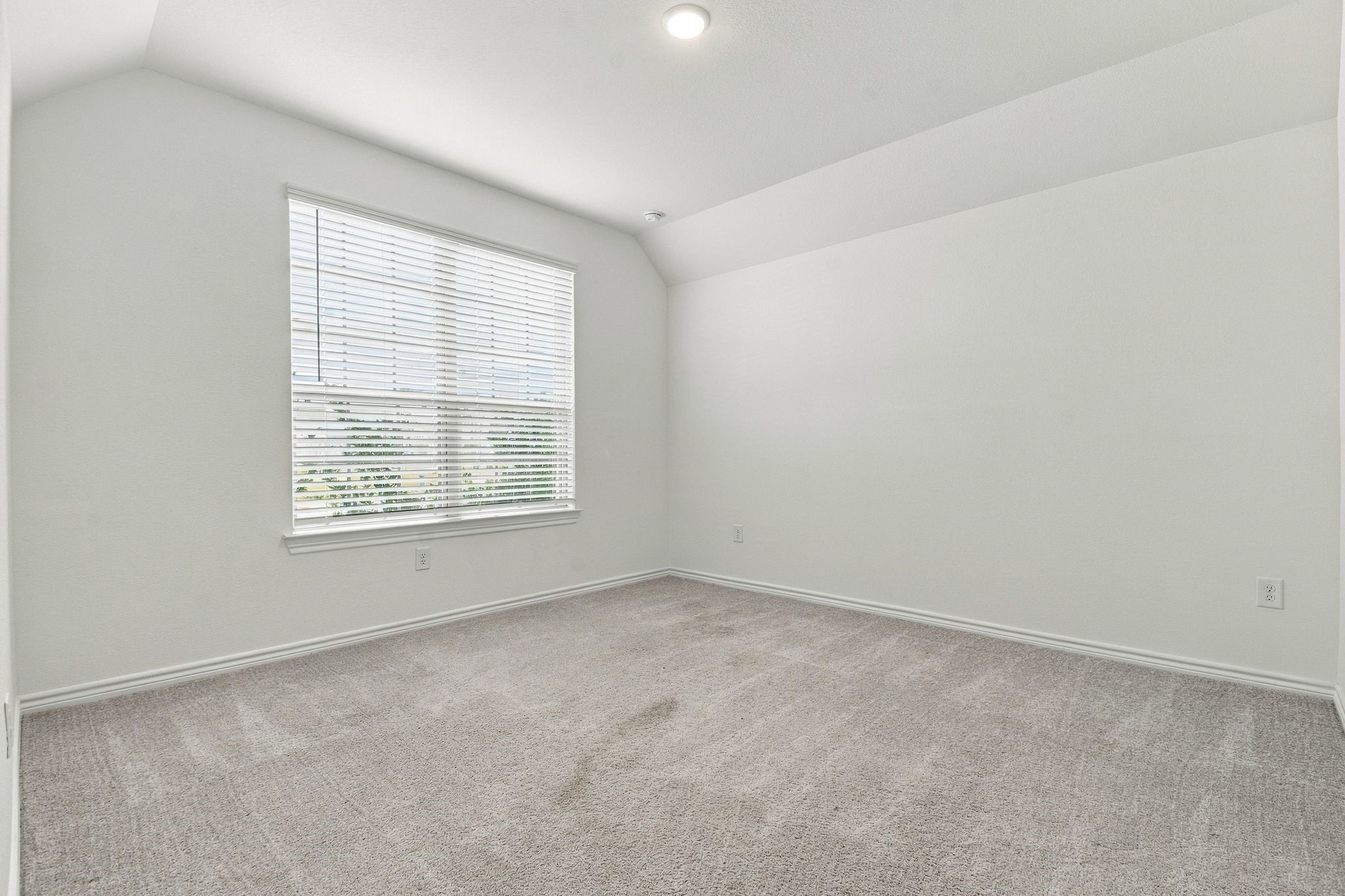 14534 Clementine Hall Drive Property Photo 17
